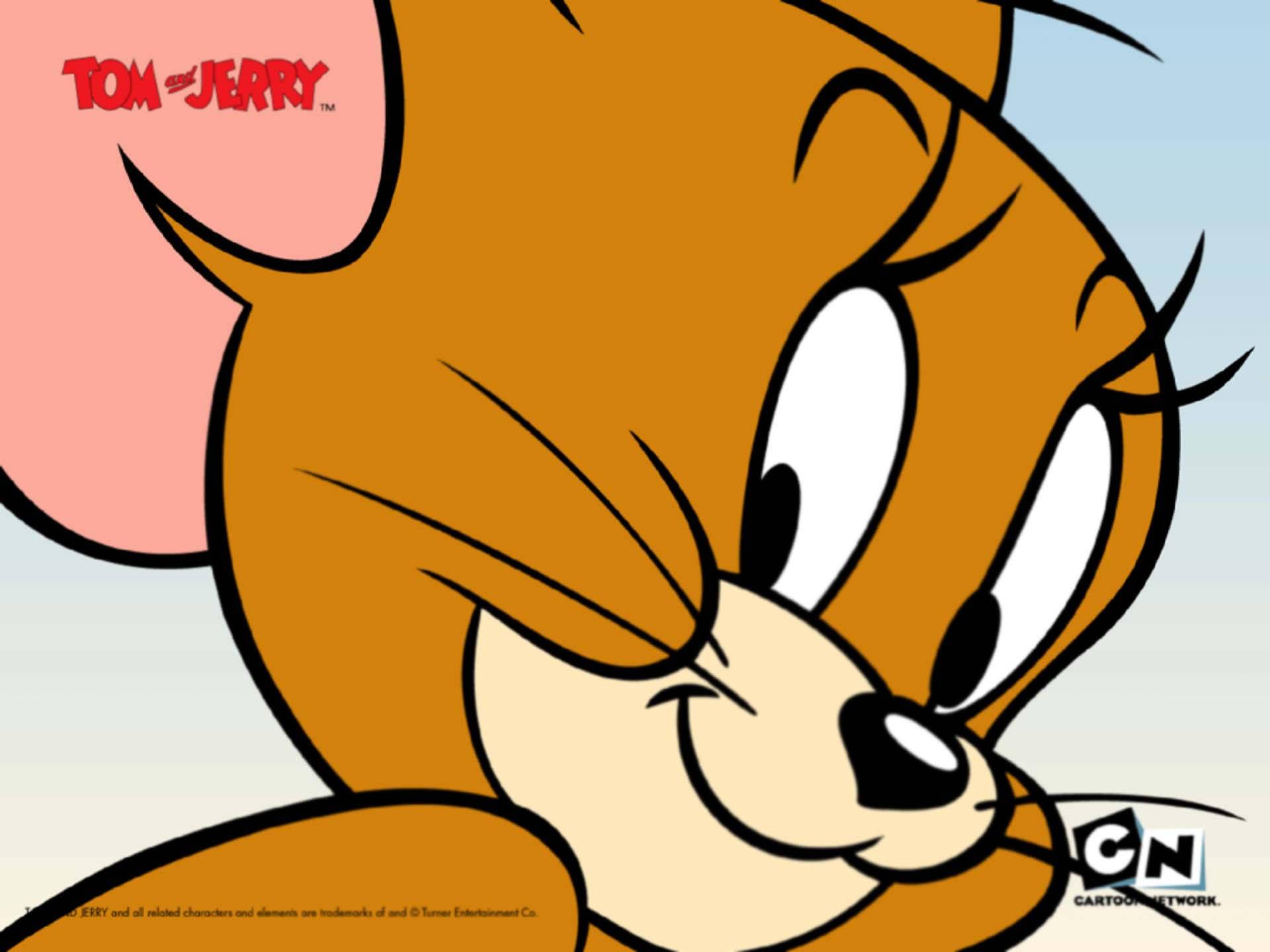 Close-up Jerry Mouse Cartoon — 1920x1440 wallpaper