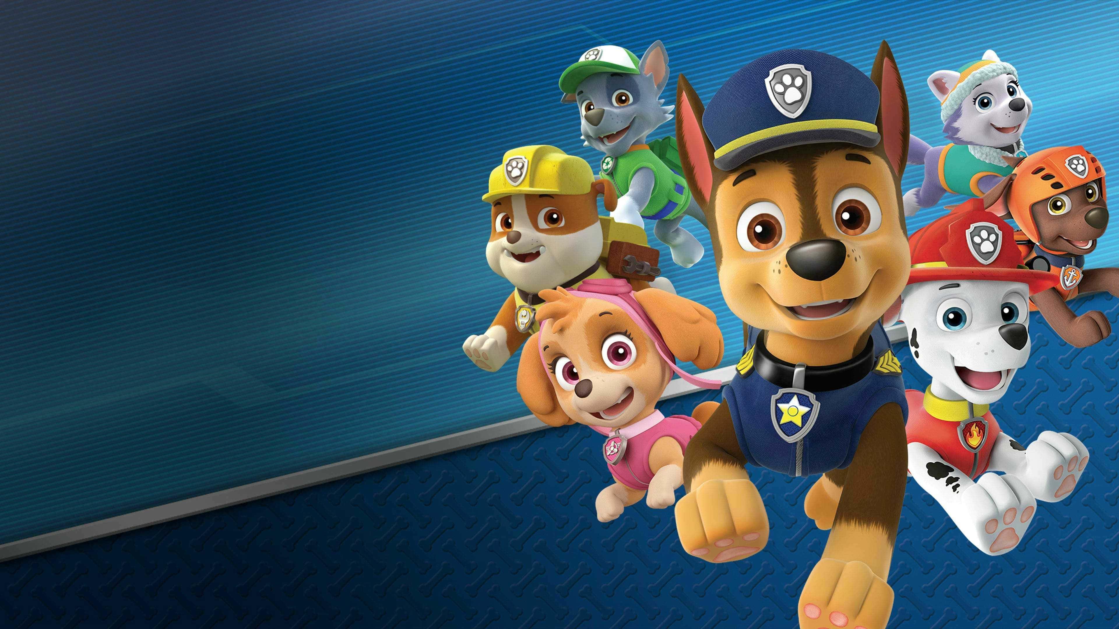 Collectively saving the day, one pup at a time — 3840x2160 wallpaper