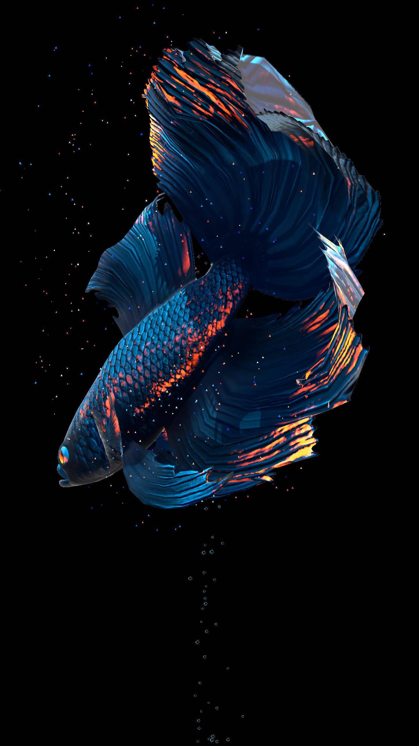 Colorful Big Blue Fish Captured In Its Natural Habitat — 1440x2560 wallpaper