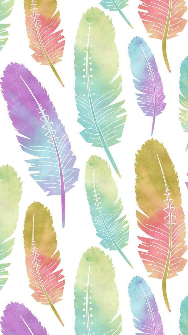 Colorful Feathers For Girl Phone Theme — 736x1309 wallpaper