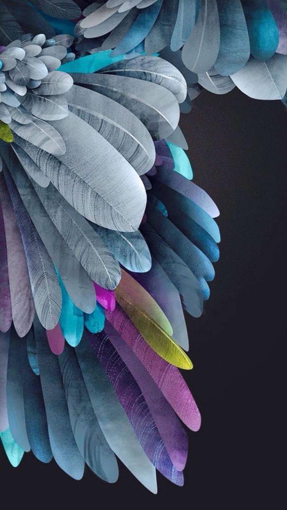 Colorful Feathers iPhone 11 — 564x1002 wallpaper
