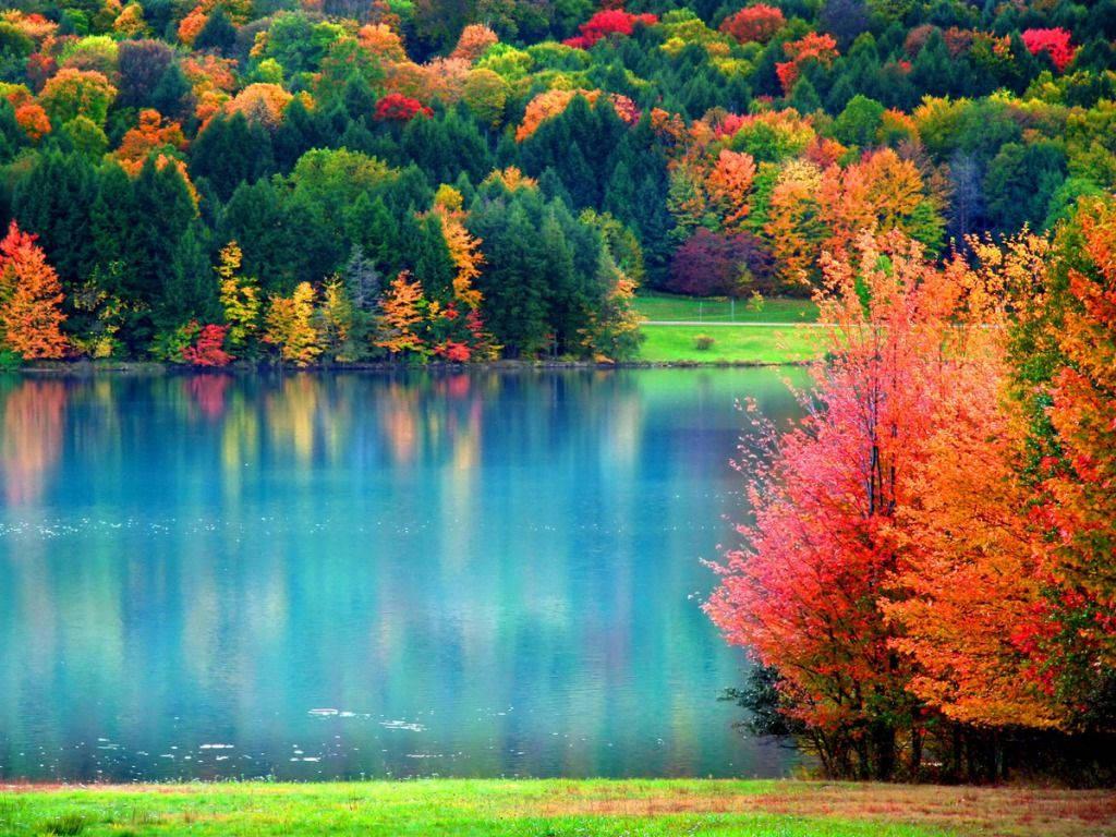 Colorful Trees During Fall — 1024x768 wallpaper