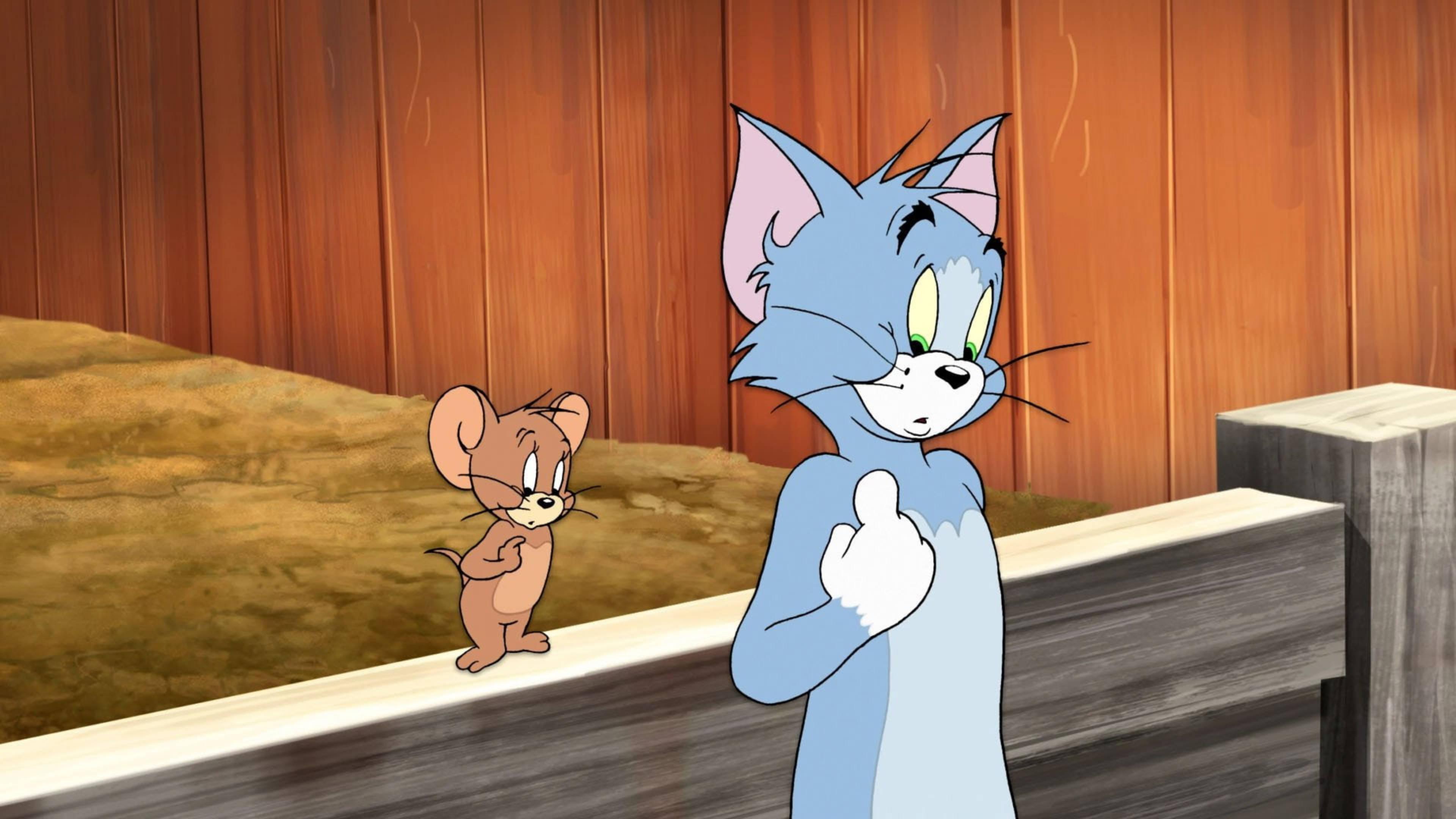 Confused Tom And Jerry — 3840x2160 wallpaper