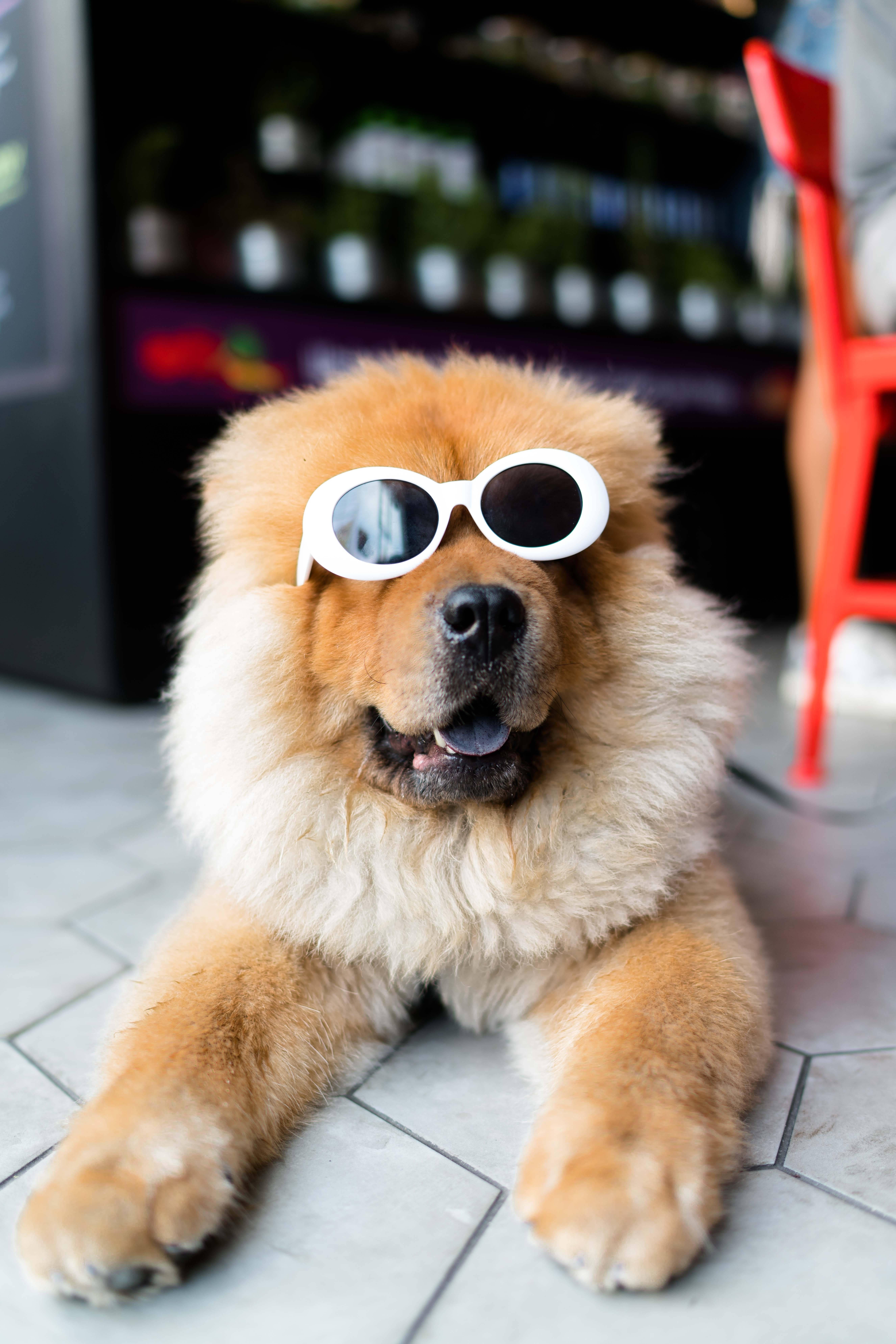 Cool as a Cucumber — 5304x7952 wallpaper