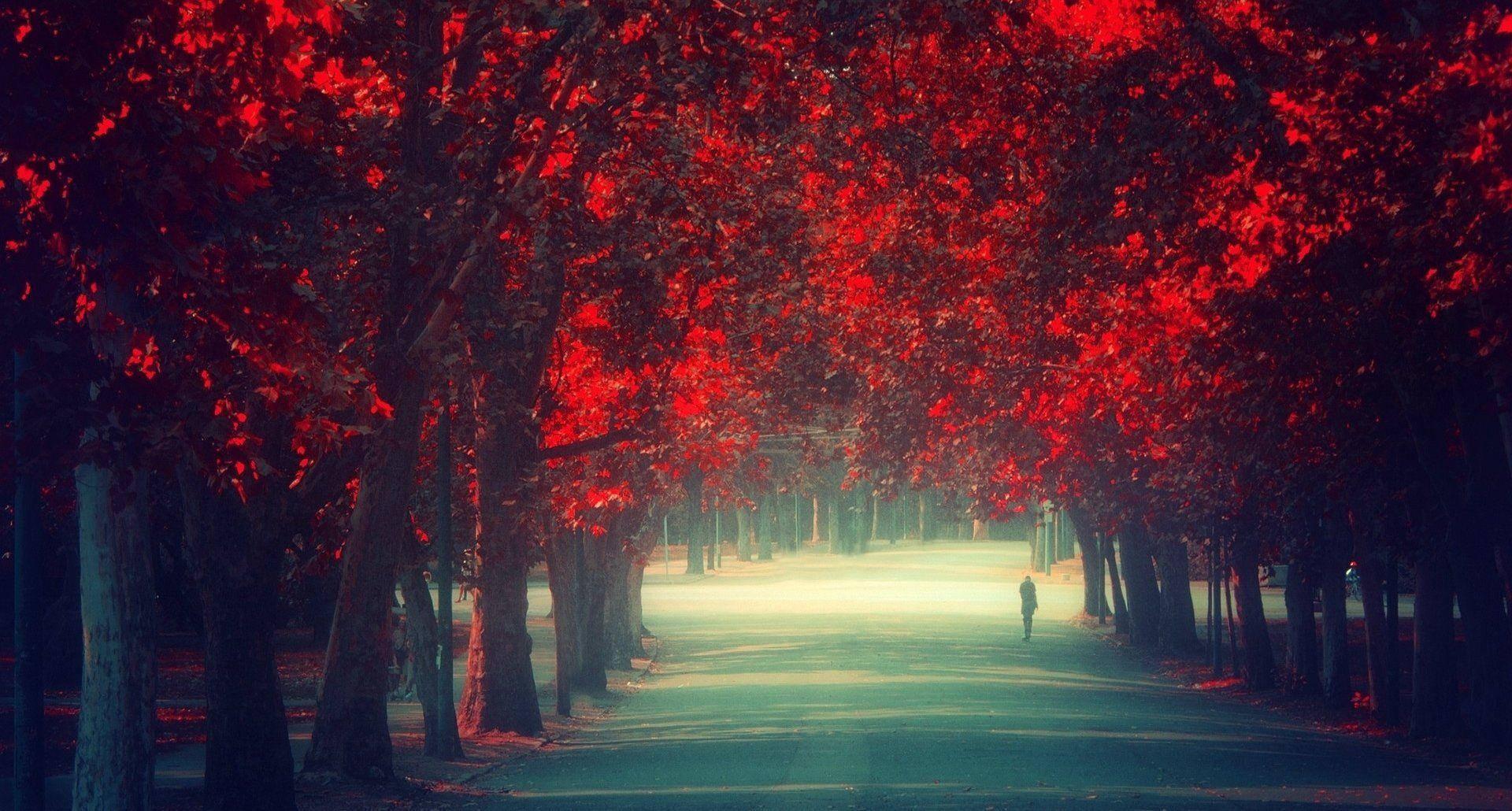 Cool Picture Of Alone Boy — 1920x1030 wallpaper