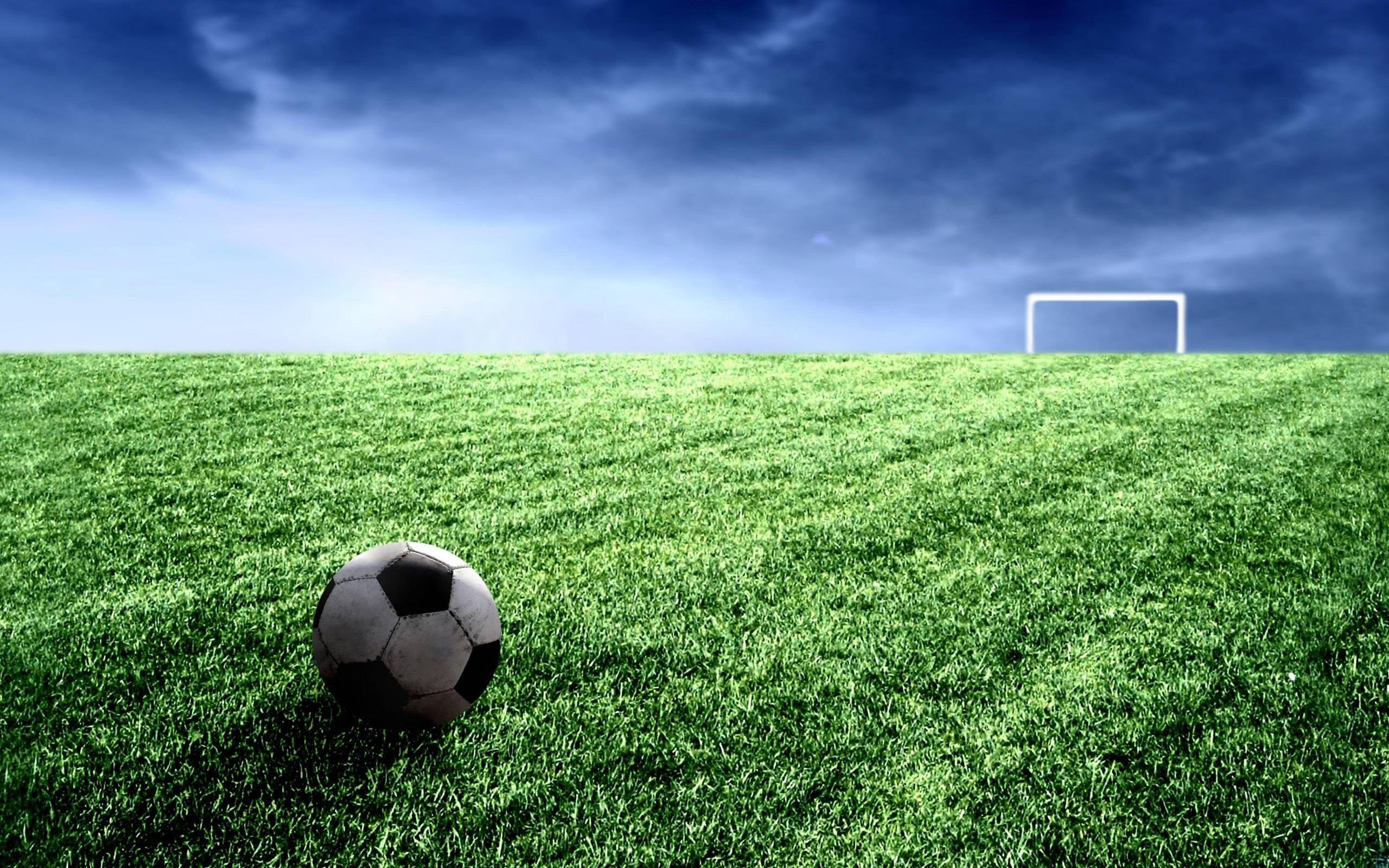 Cool Soccer Nature Field — 2560x1600 wallpaper