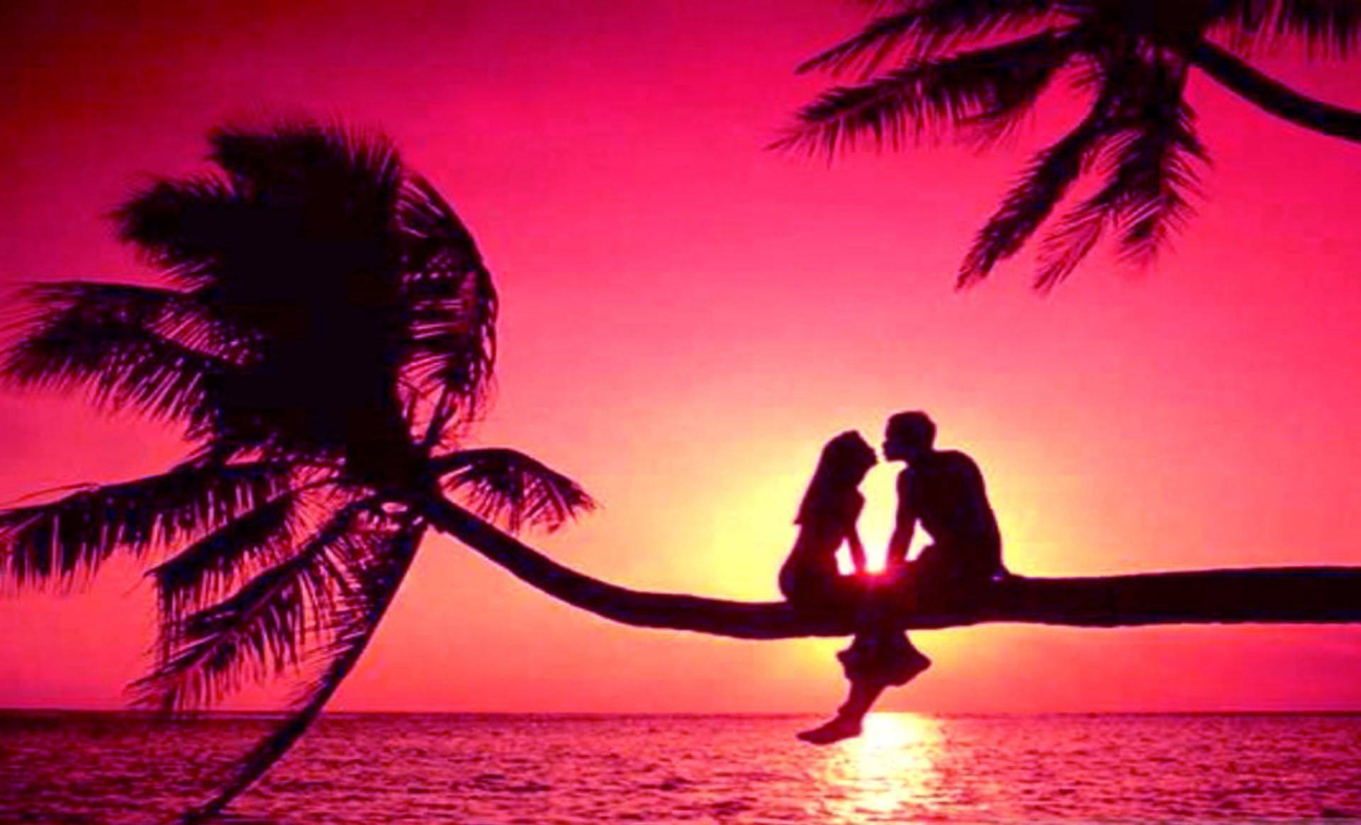 Couple Romantic Love On A Tree — 1920x1164 wallpaper