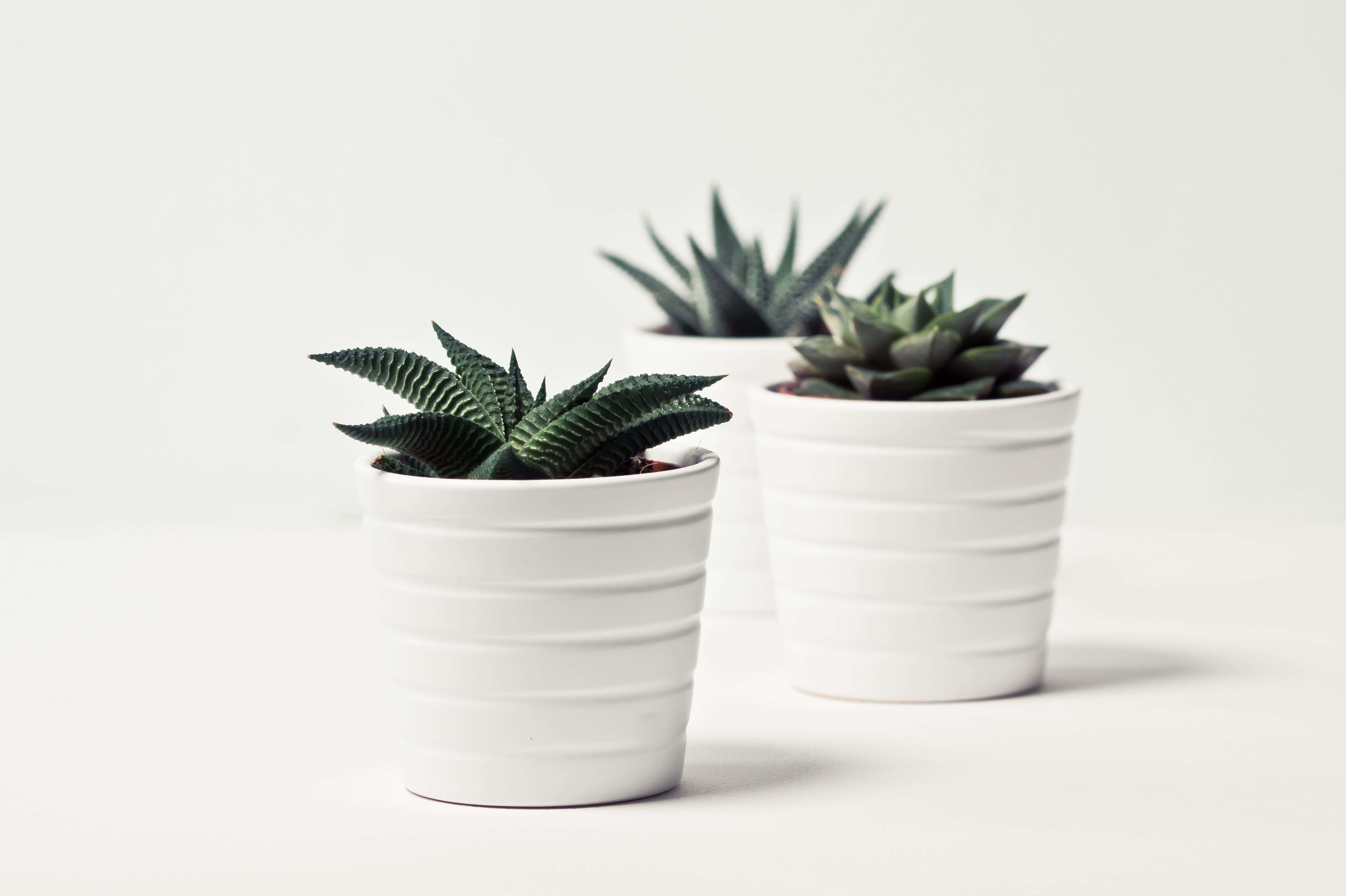 Create a calming and inspiring atmosphere at home with a simple white aesthetic. — 5456x3632 wallpaper