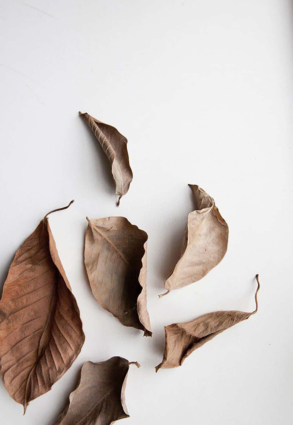 Create a minimalist and calming atmosphere with white aesthetic. — 1024x1487 wallpaper