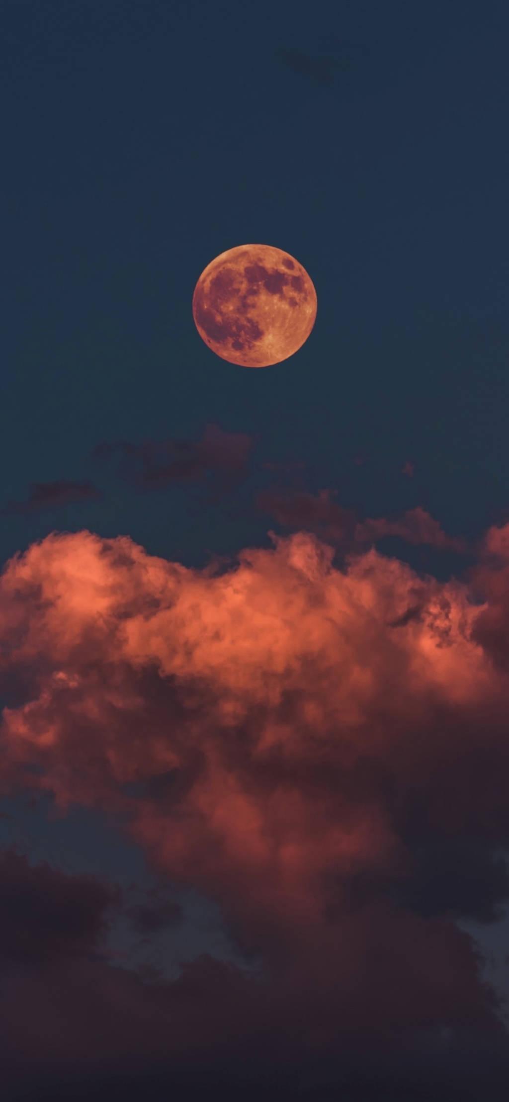 Crimson Moon Aesthetic — 1024x2217 wallpaper