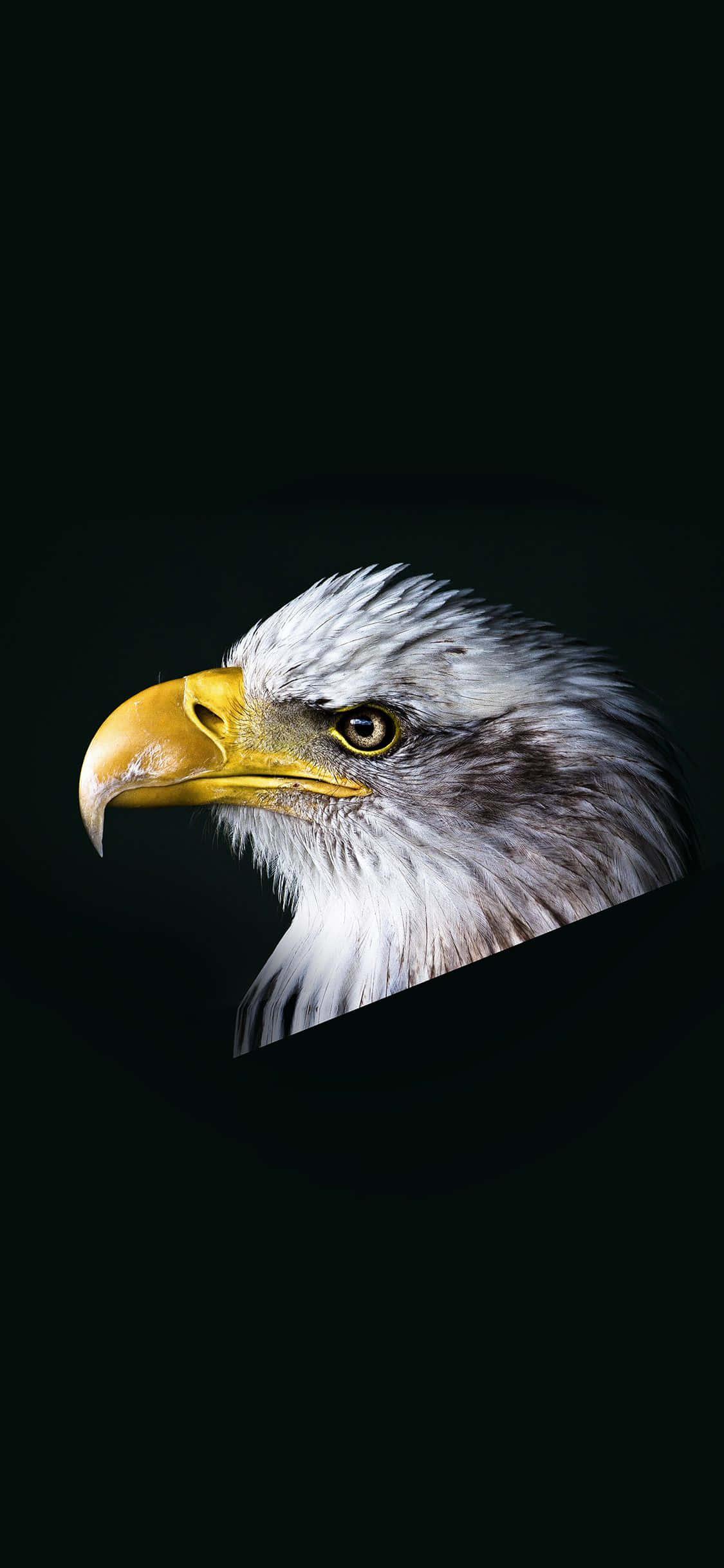 Cruise through the sky with Eagle Iphone — 1125x2436 wallpaper