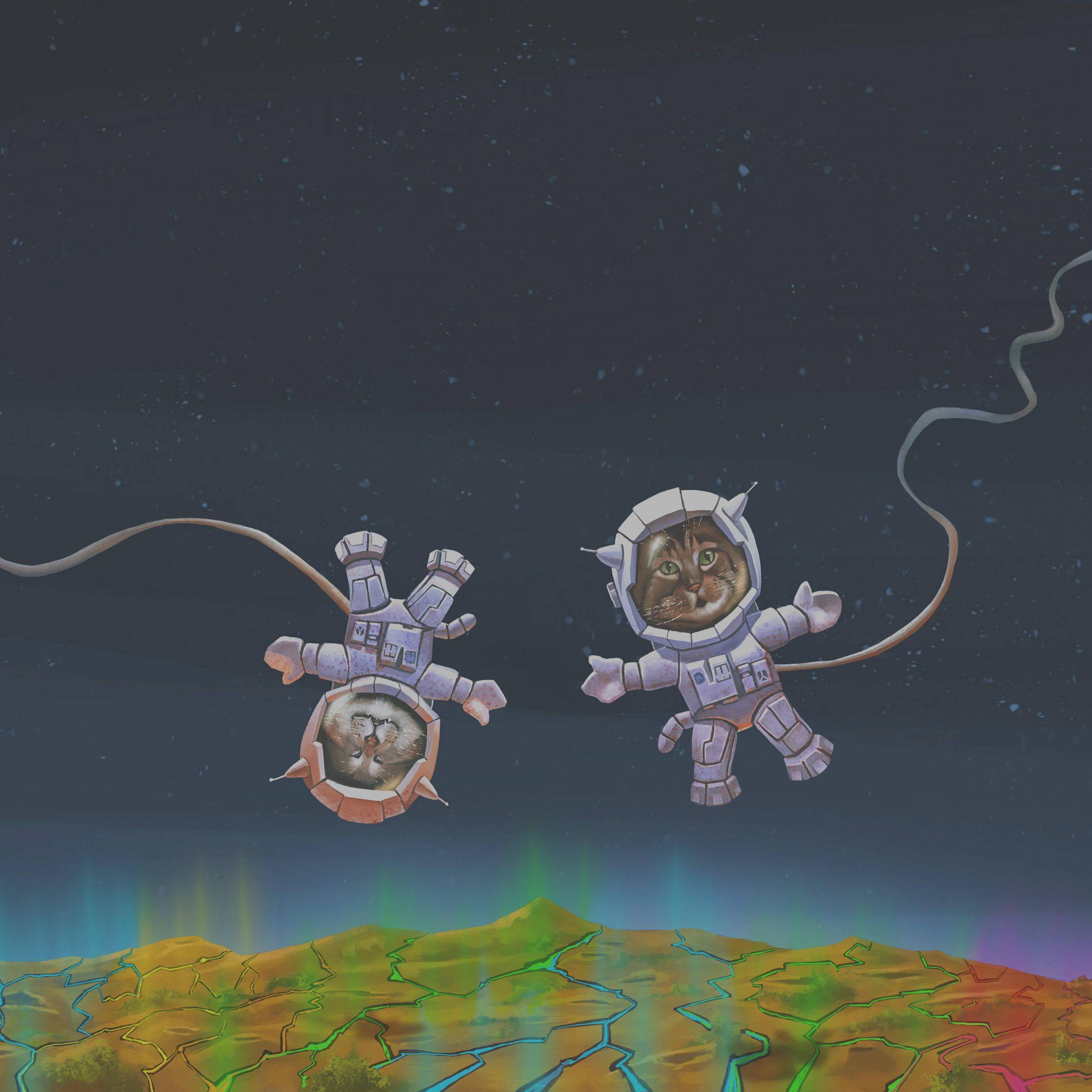 Curiosity is never ending even in outer space — 2524x2524 wallpaper