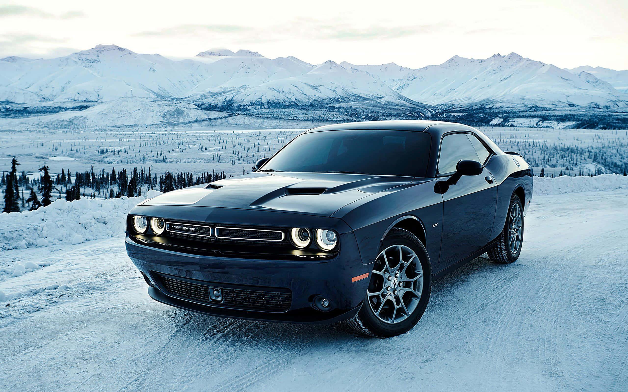 Customized Dodge Challenger glistens in the sunlight — 2560x1600 wallpaper