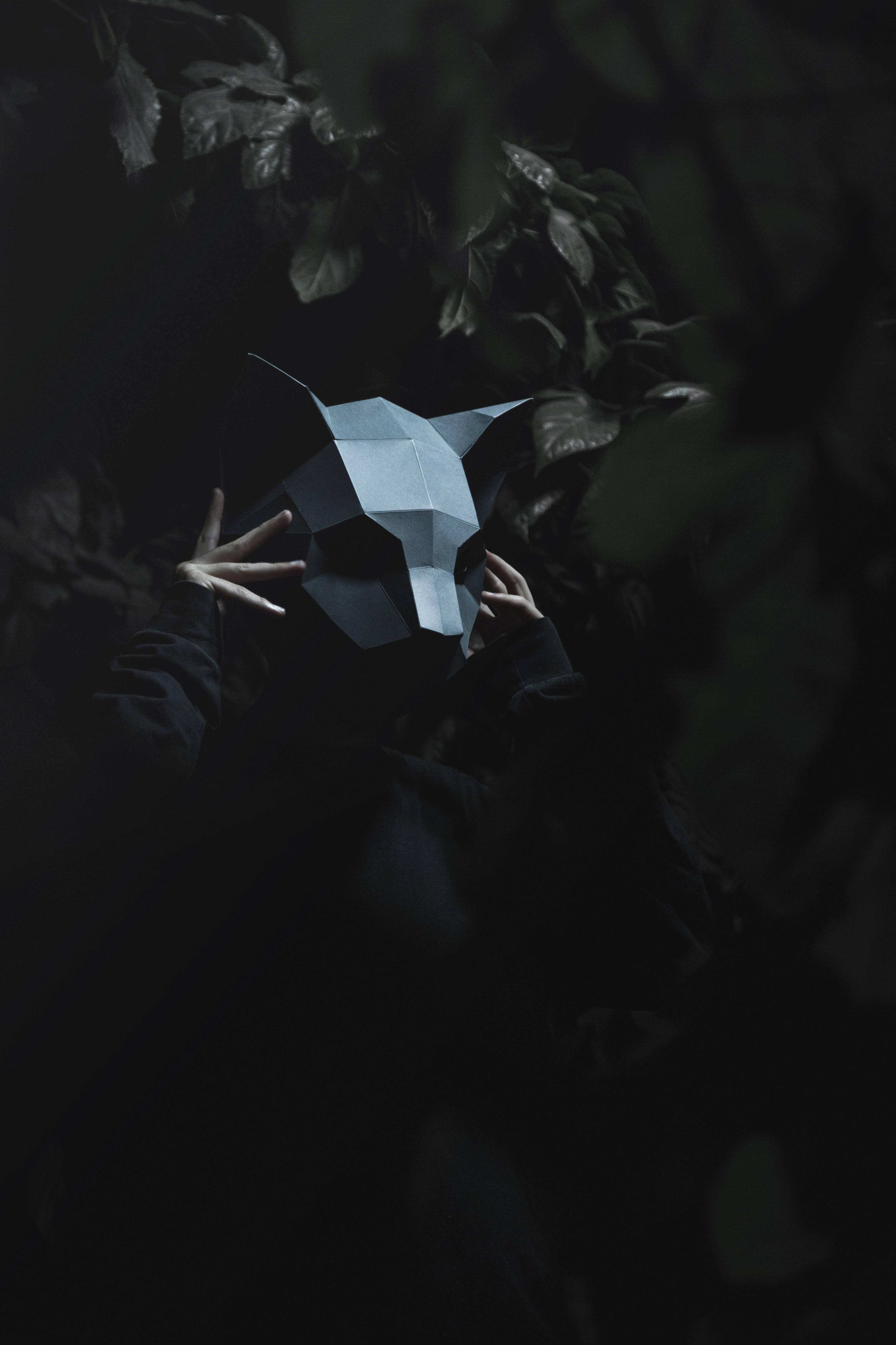 Cute 3D Low Poly Cat Mask — 3409x5113 wallpaper