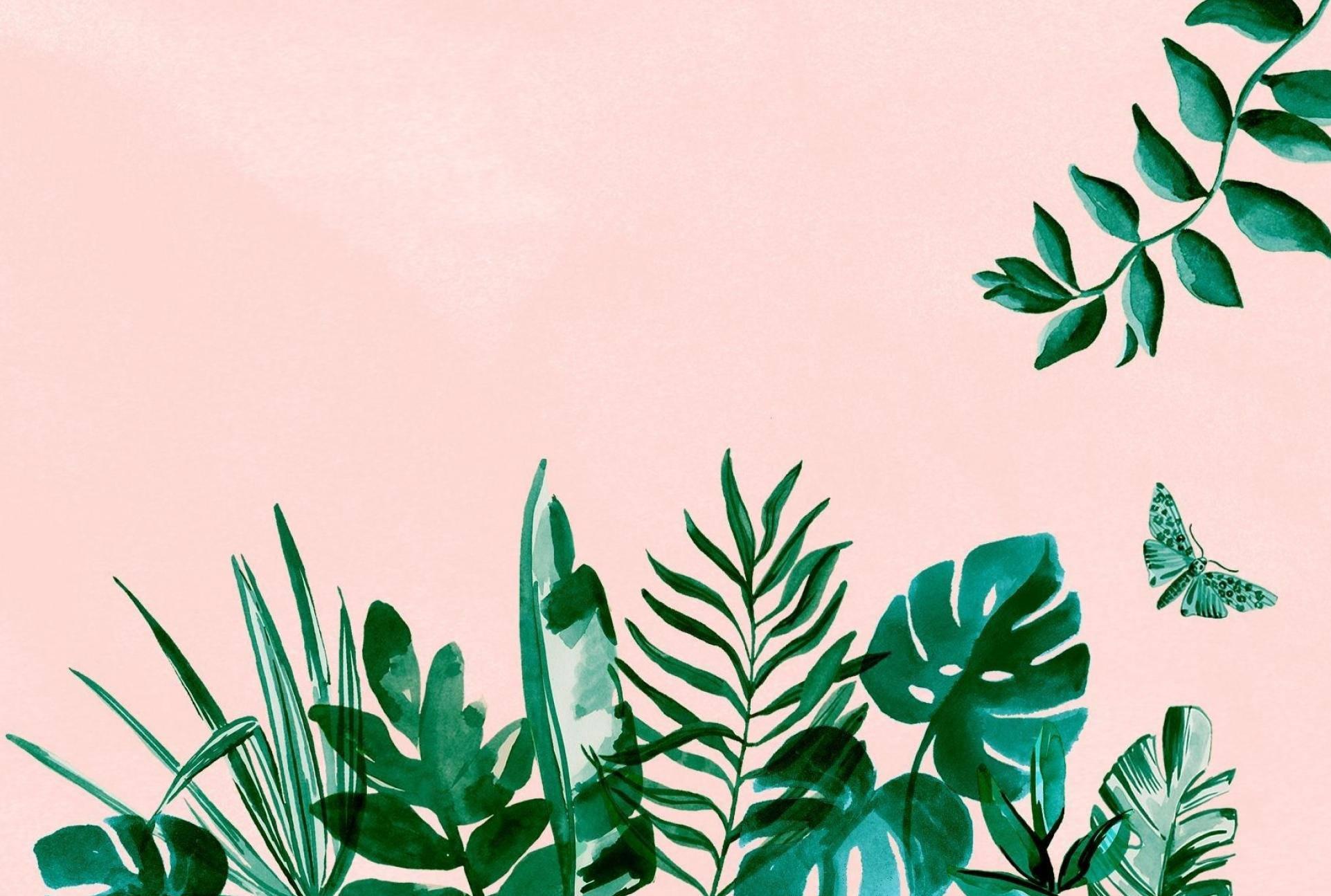 Cute Aesthetic Green Plants — 1922x1295 wallpaper