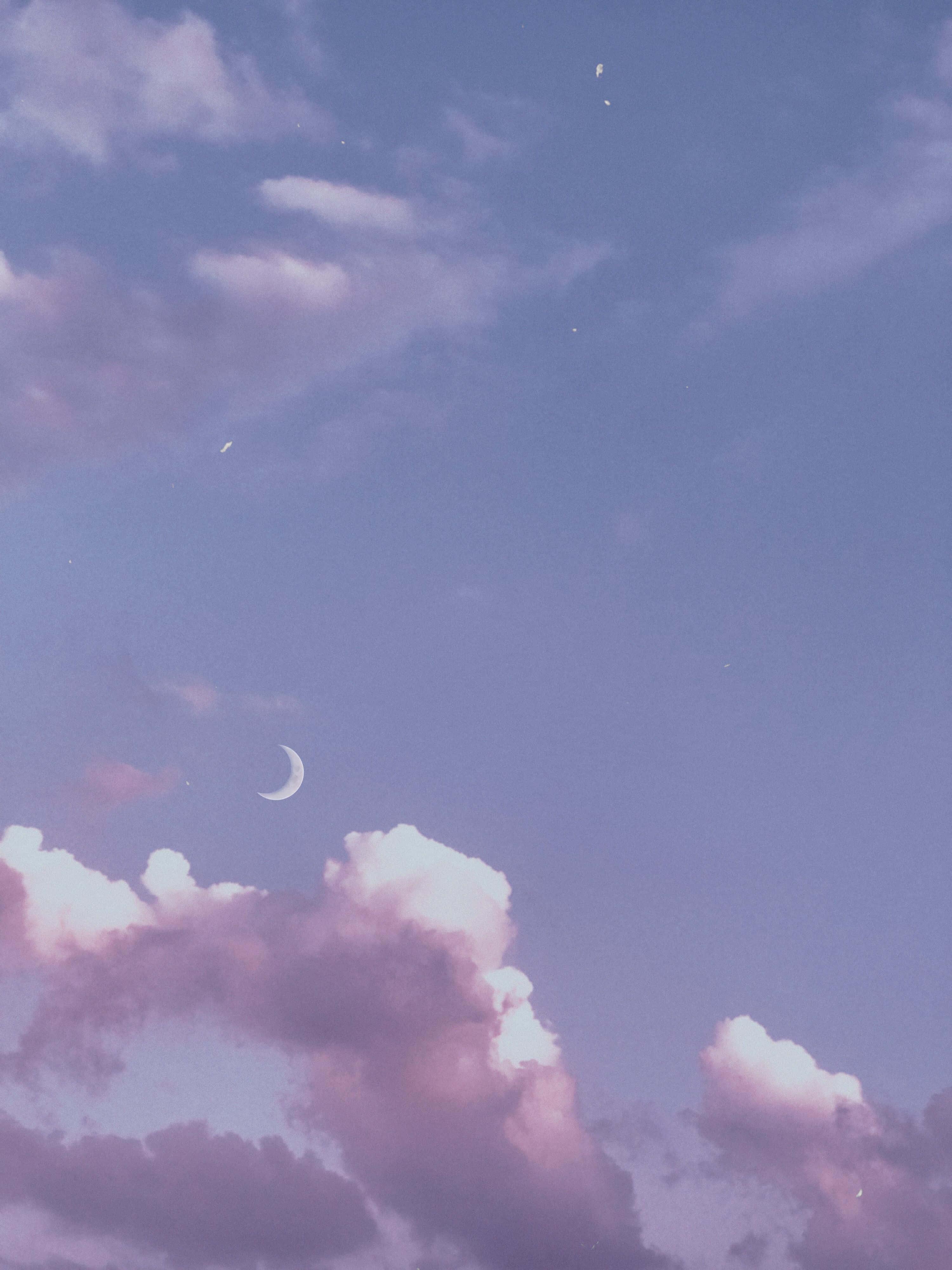 Cute Aesthetic pictures — 3000x4000 wallpaper