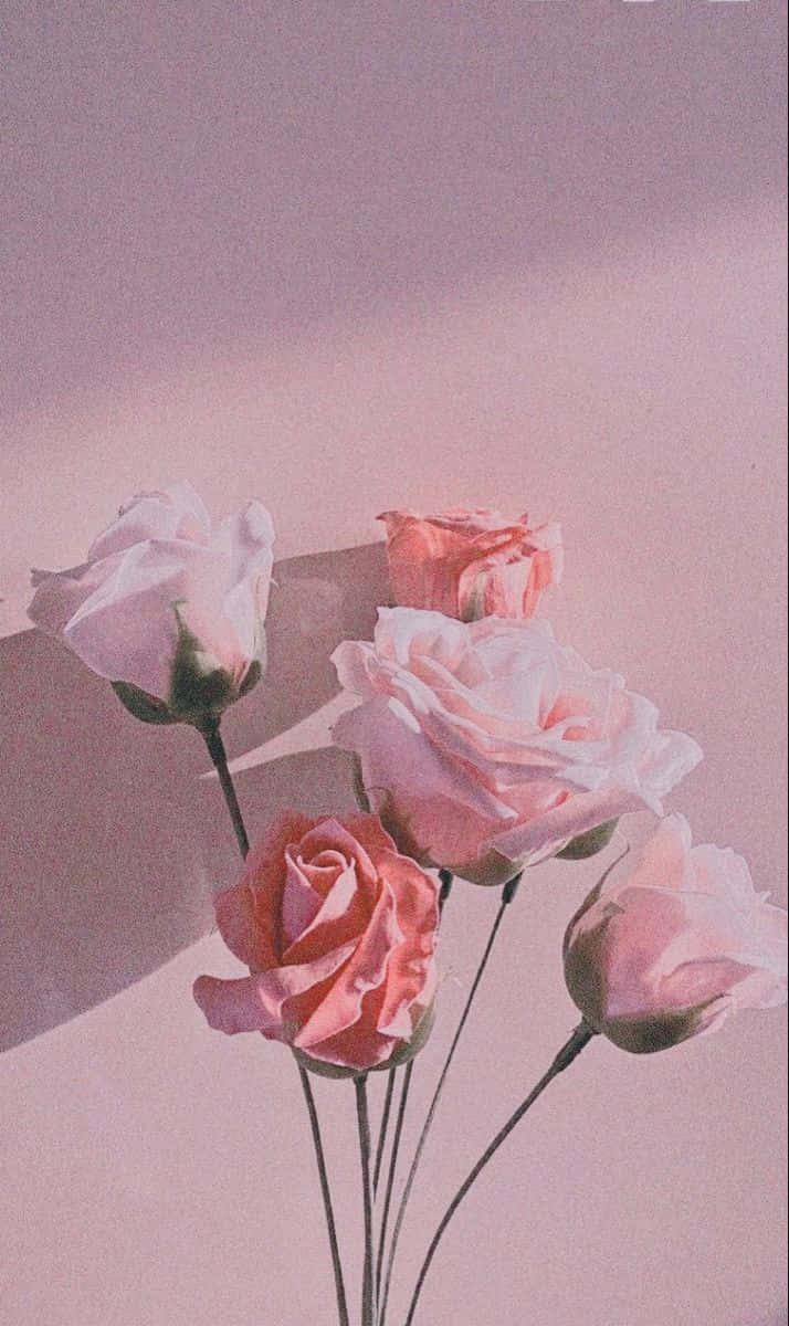 Cute Aesthetic pictures — 714x1200 wallpaper