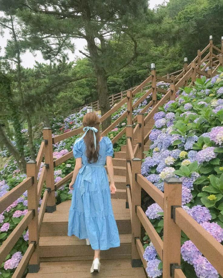 Cute Aesthetic pictures — 736x920 wallpaper