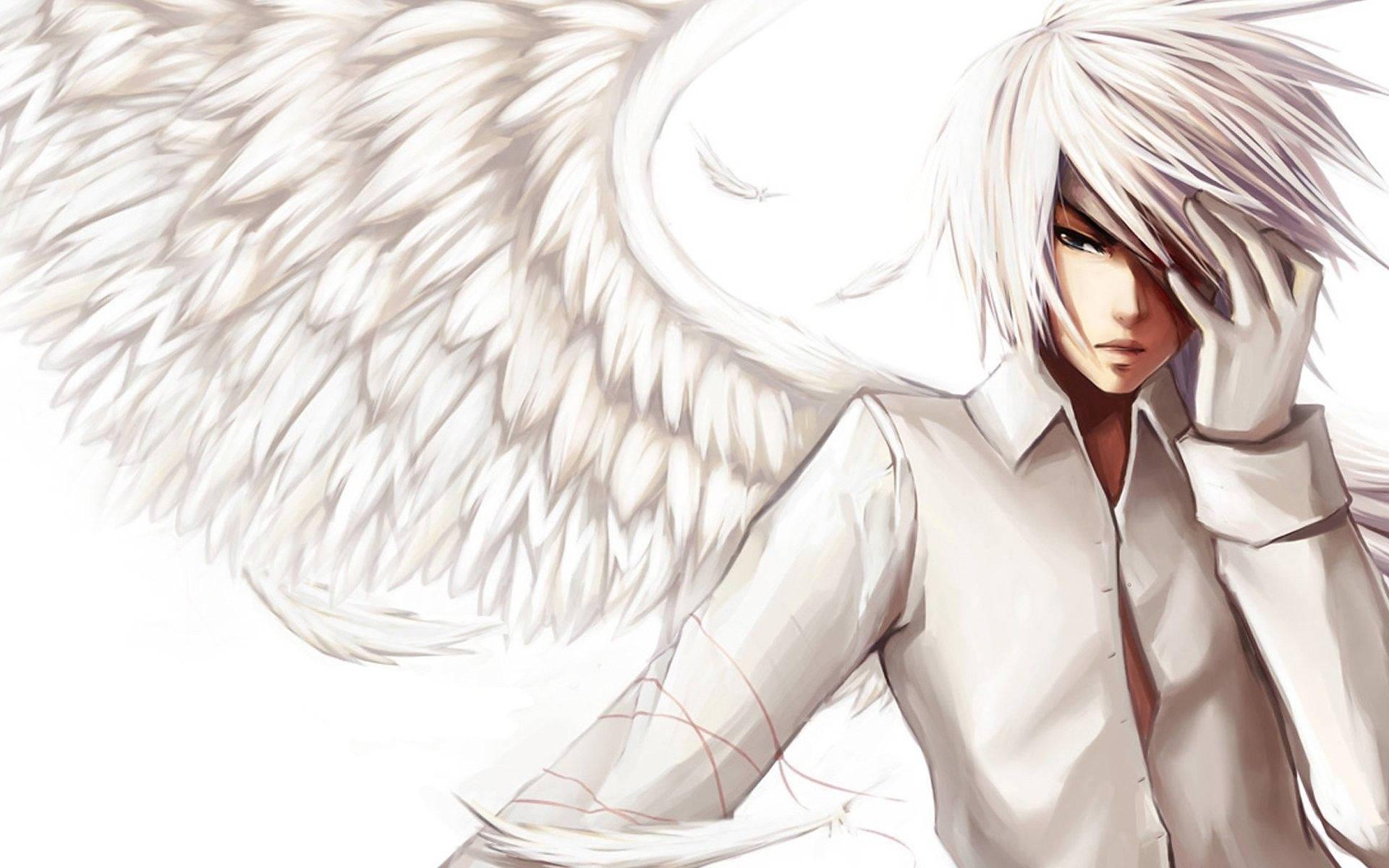 Cute Anime Boy Angel With Wings — 1920x1200 wallpaper