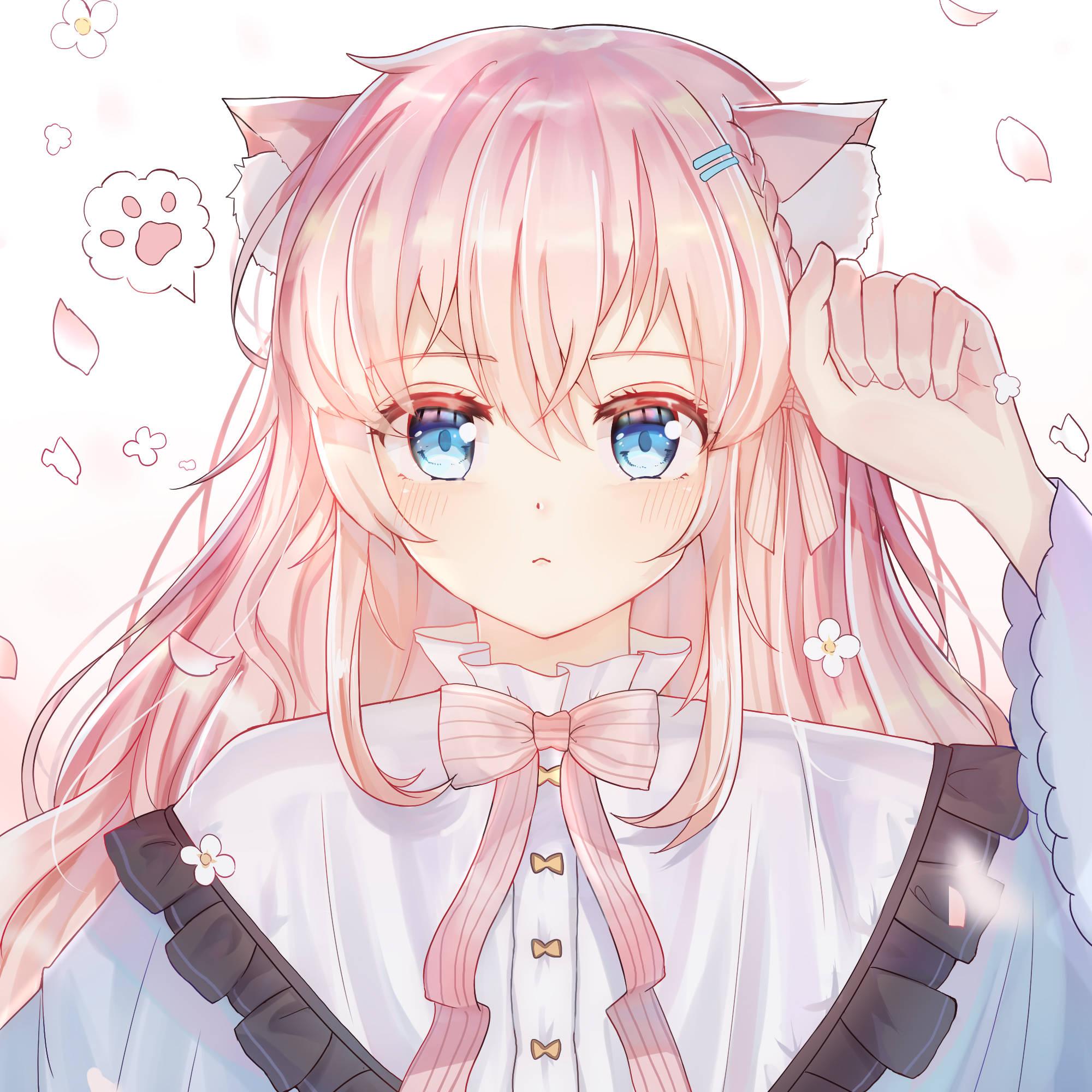Cute Anime Girl In Meow Post — 2000x2000 wallpaper