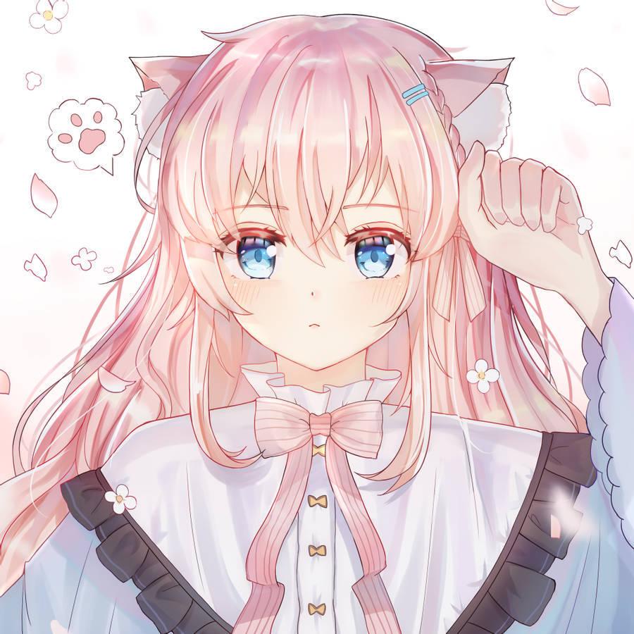 Sød anime pige pfp hakui koyori kat udstyr