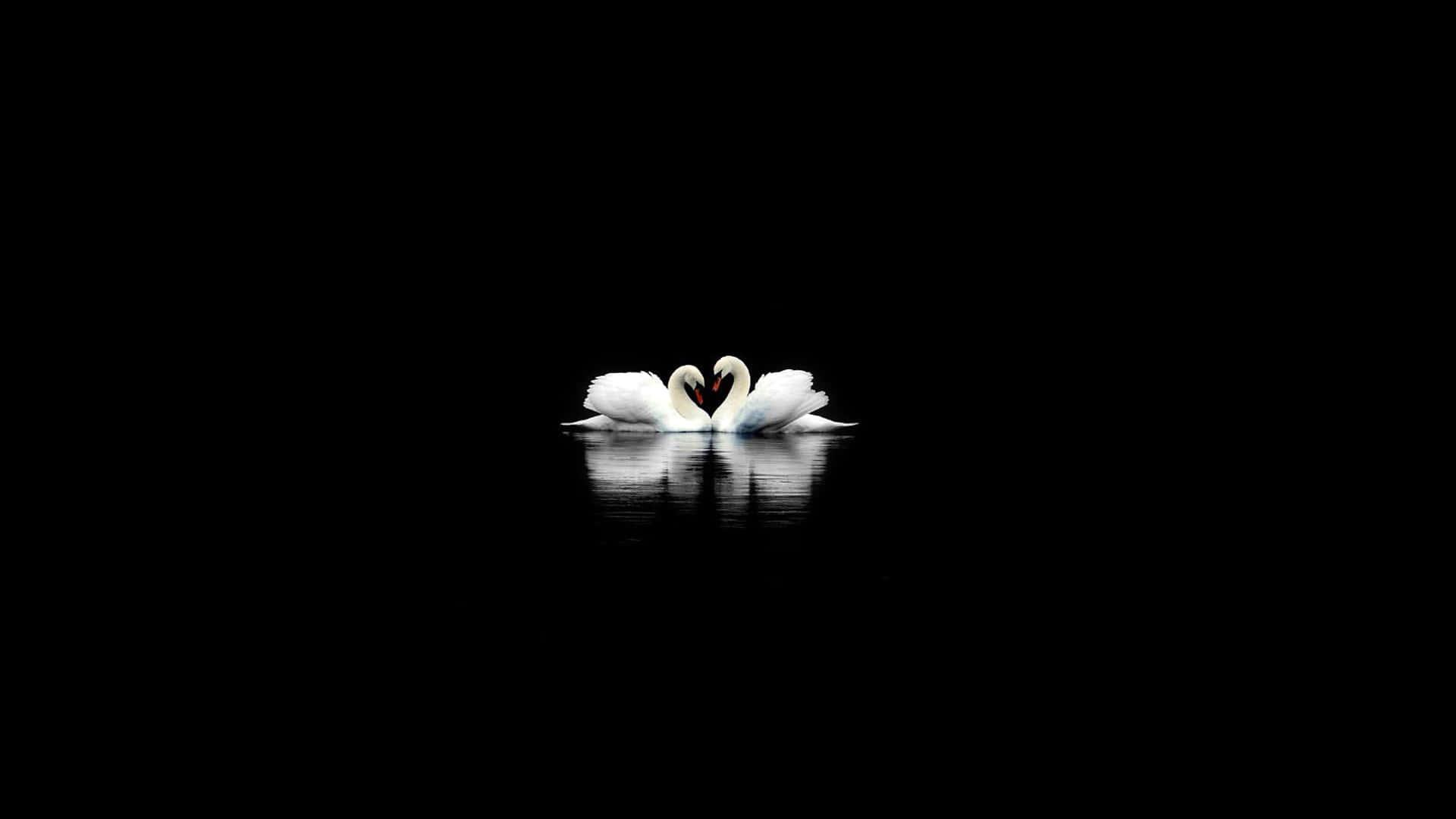 Cute Black background — 1920x1080 wallpaper