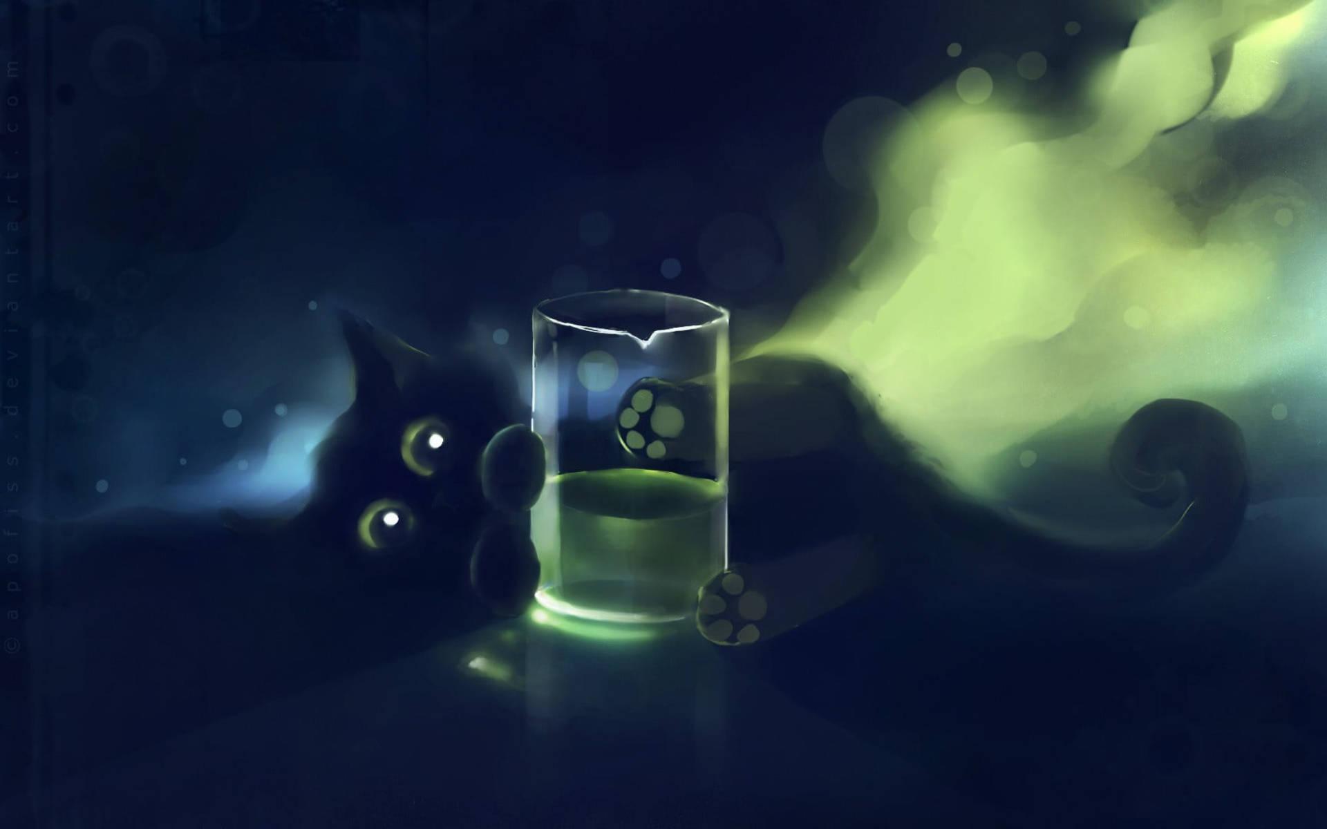 Cute Black Kitten Behind Glass — 1920x1200 wallpaper