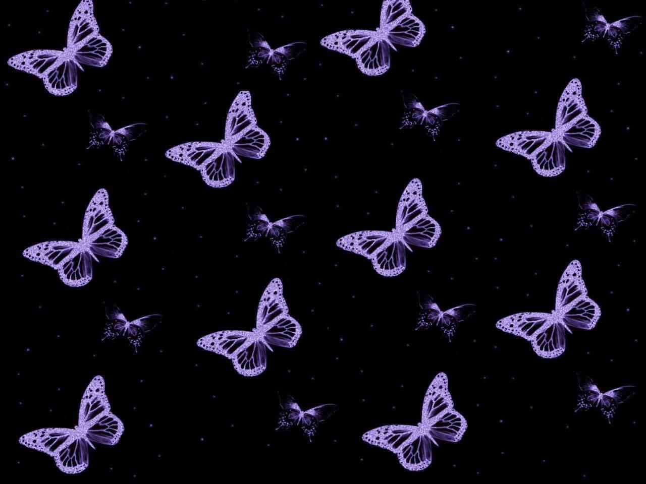Cute Black Purple Butterfly Pattern — 1280x960 wallpaper