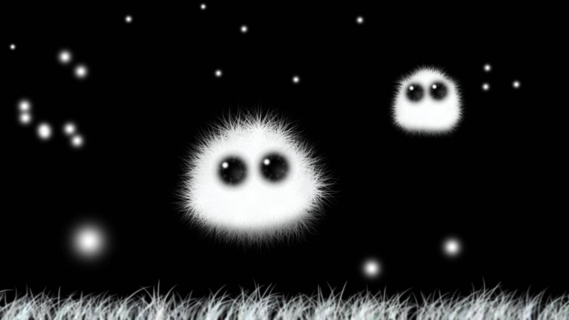 Cute Black White Fur — 1920x1080 wallpaper