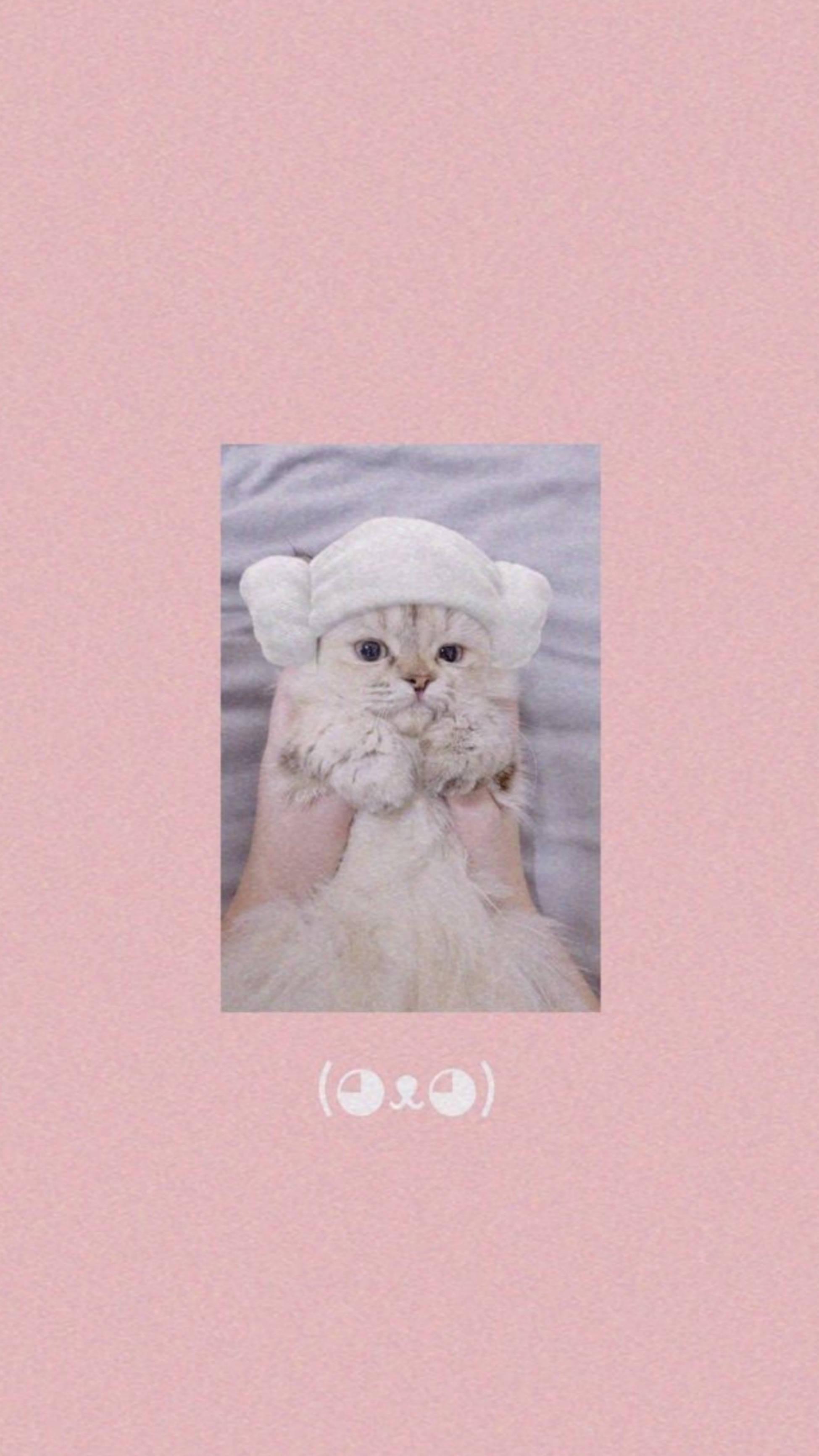 Cute Cat Aesthetic Lamb Head Towel — 1949x3464 wallpaper