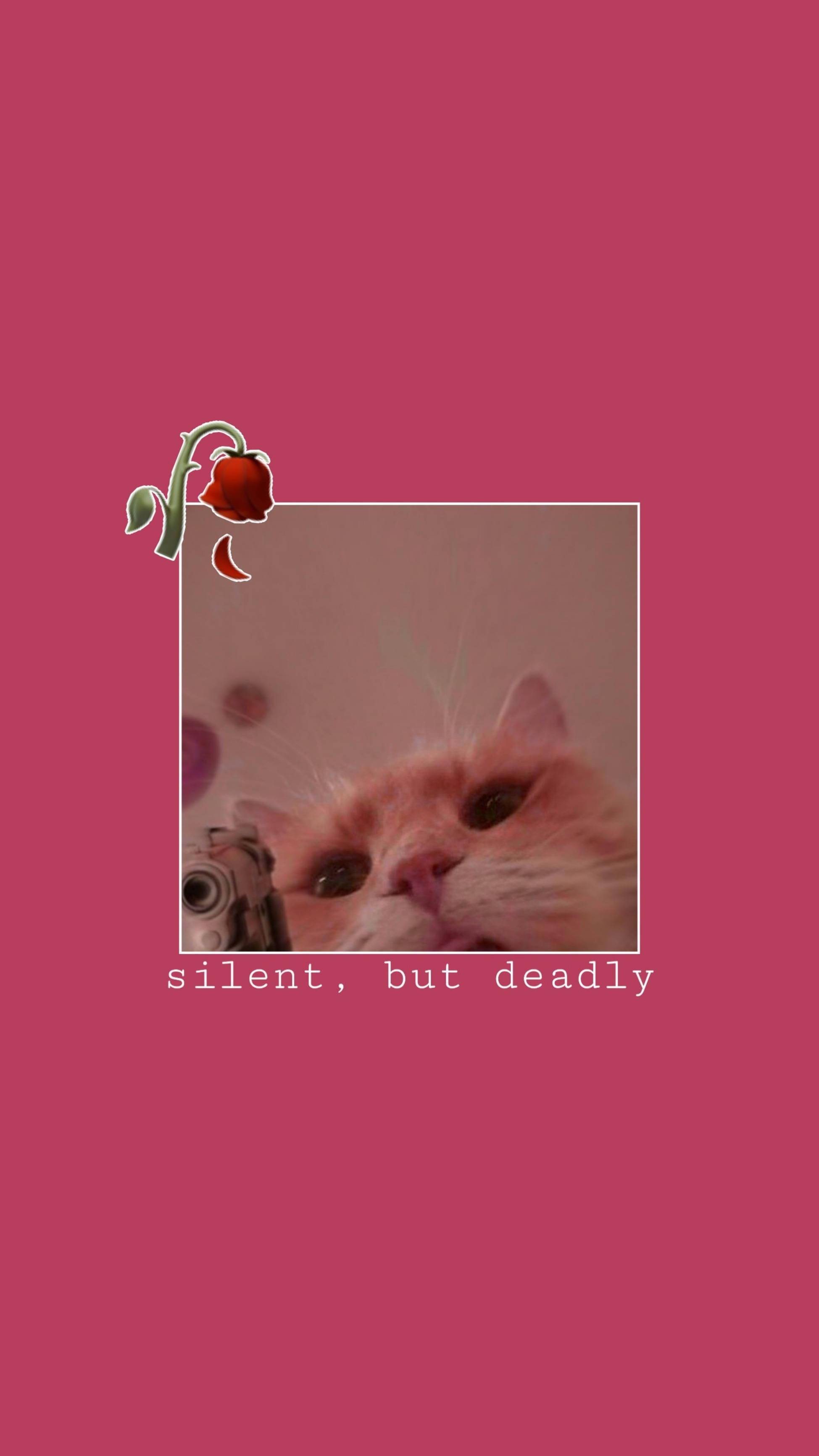 Cute Cat Aesthetic Silent But Lethal — 1949x3464 wallpaper