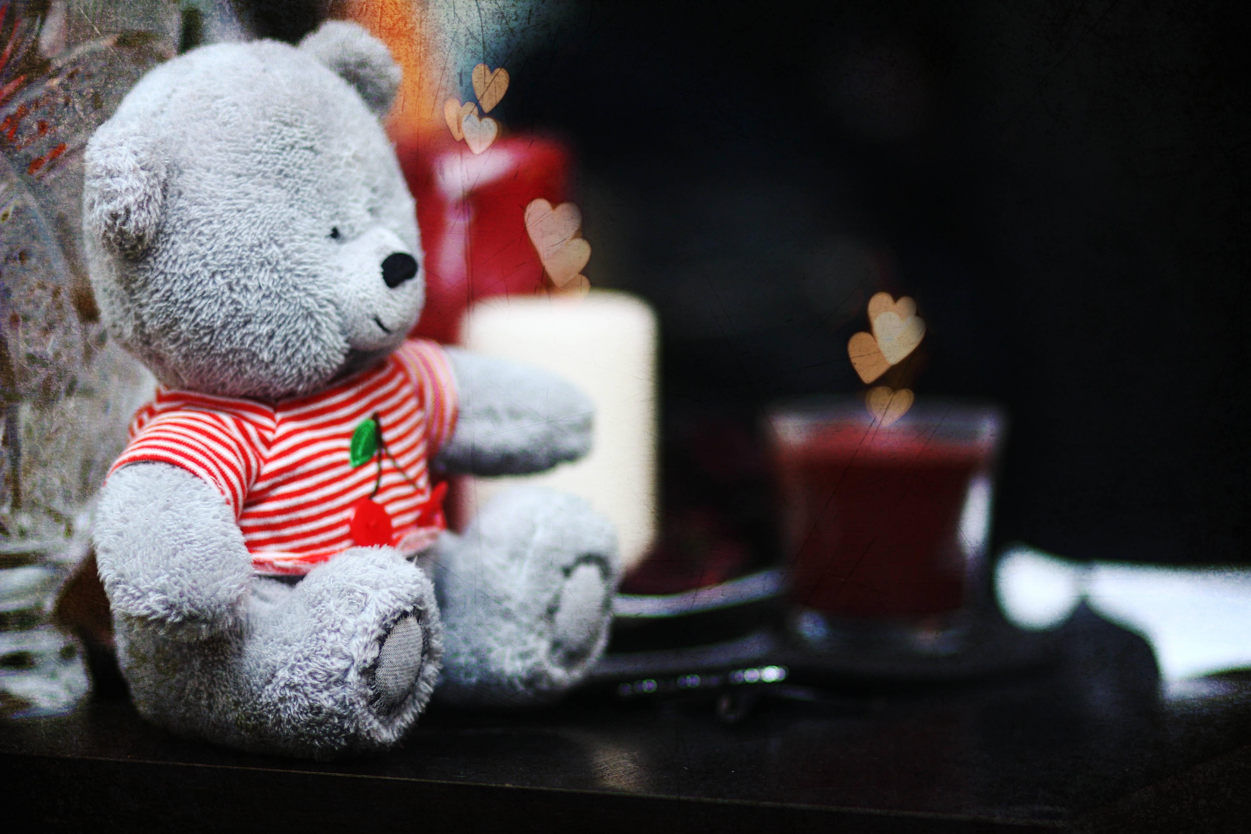 Cute Gray Teddy Bear — 5184x3456 wallpaper