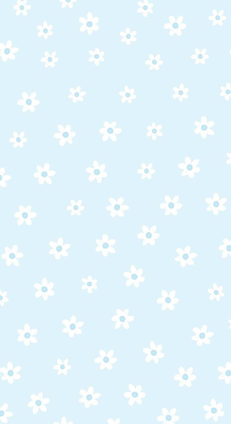 Cute Pastel Blue Aesthetic White Flowers — 800x1466 wallpaper