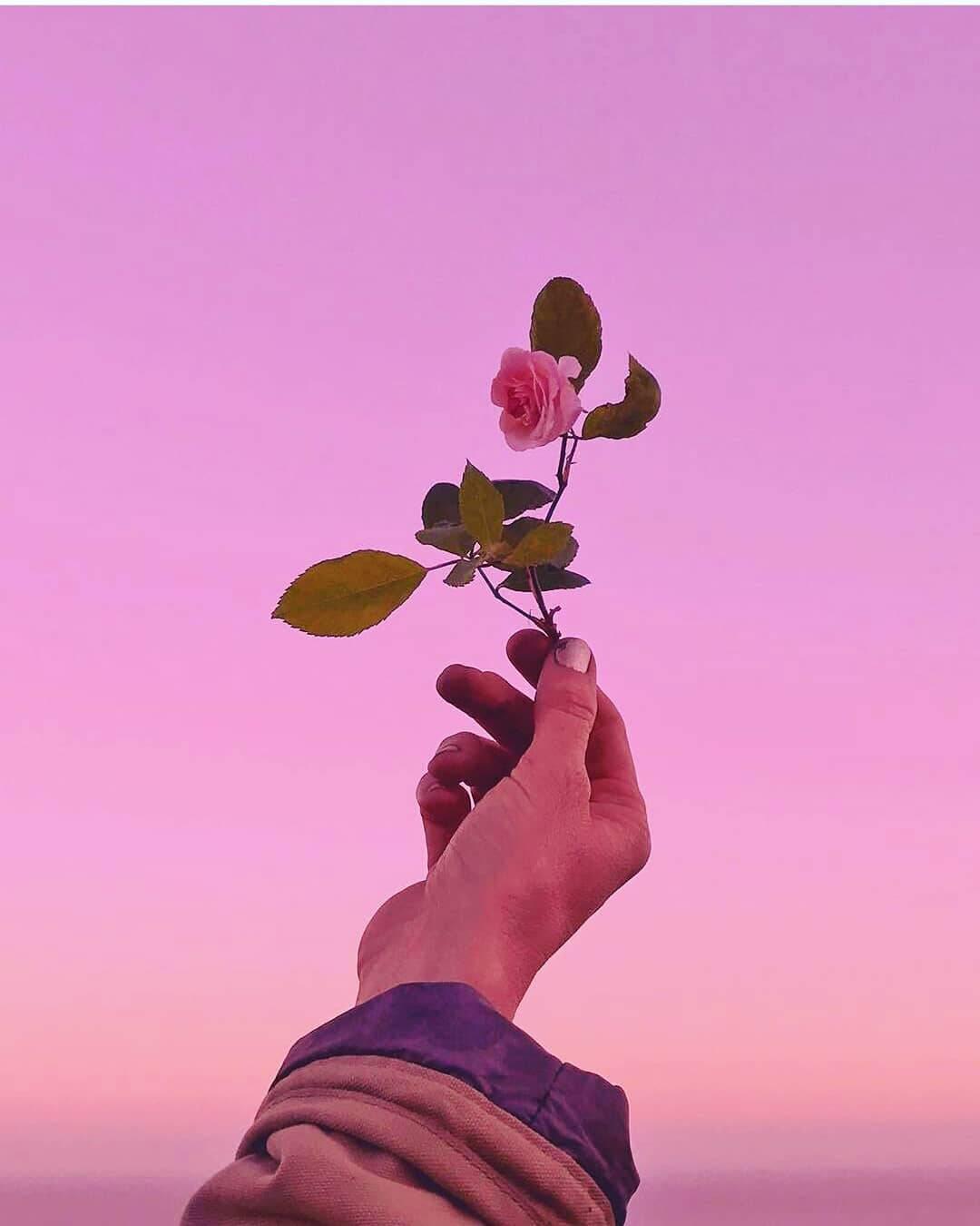 Cute Rose Aesthetic Phone — 1080x1350 wallpaper