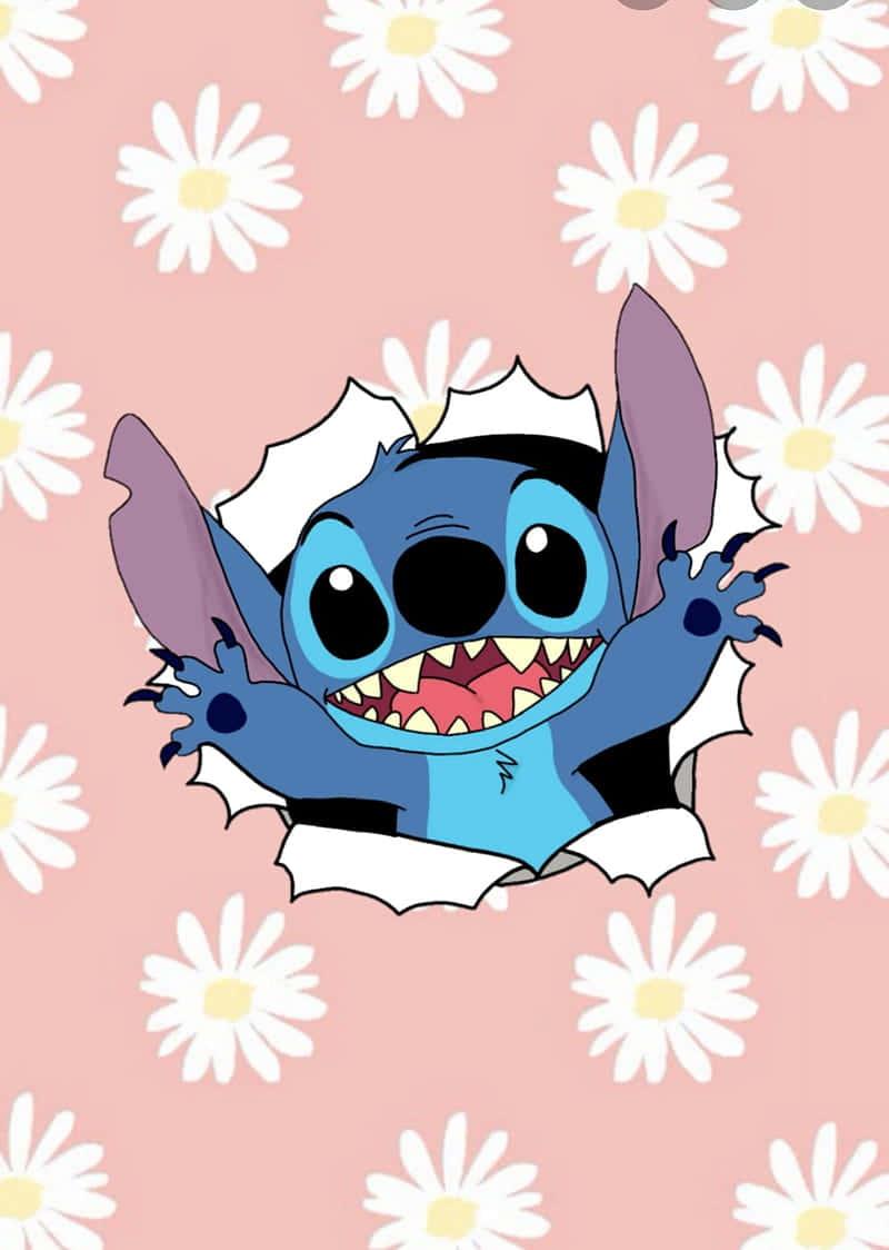 Cute Stitch pictures — 800x1124 wallpaper