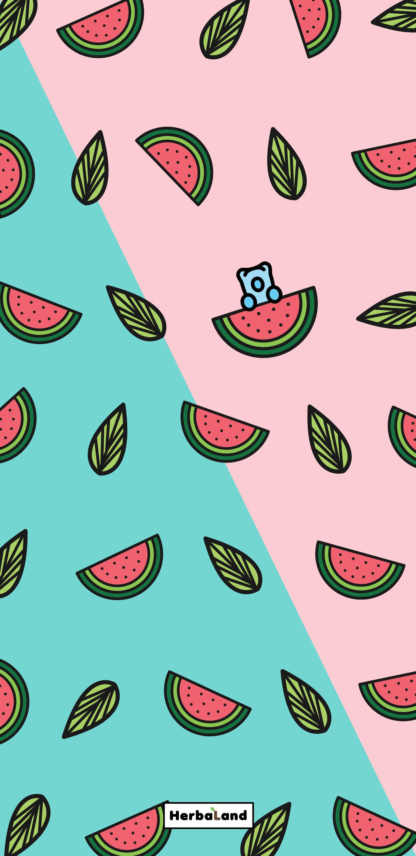 Cute Summer Pink Teal Watermelons — 1440x2960 wallpaper