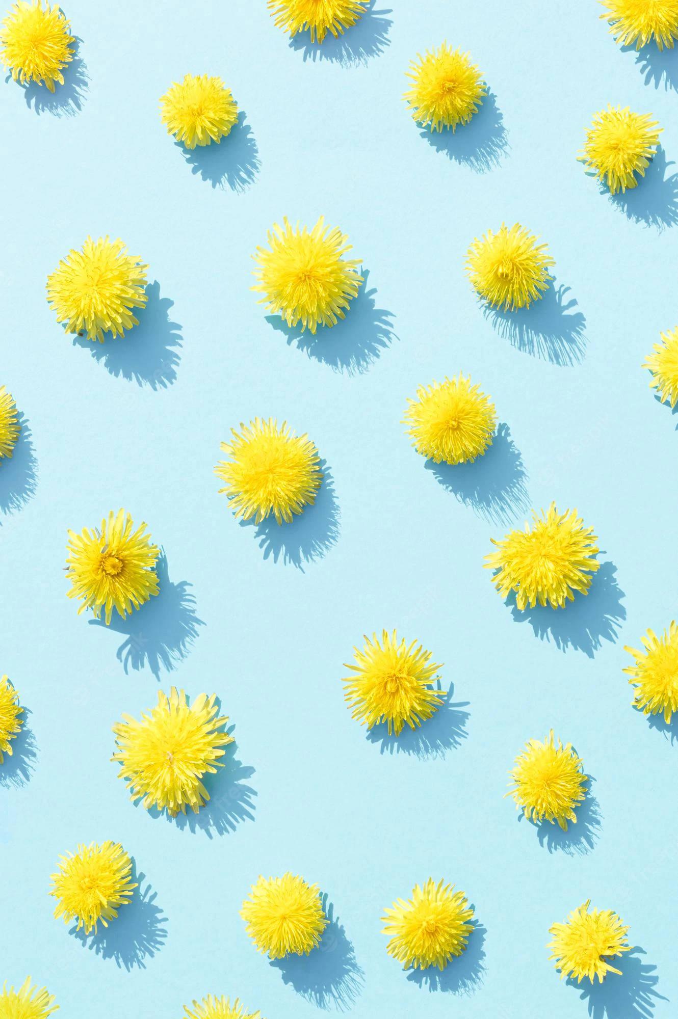 Dandelions Summer iPhone Blue — 1330x2000 wallpaper