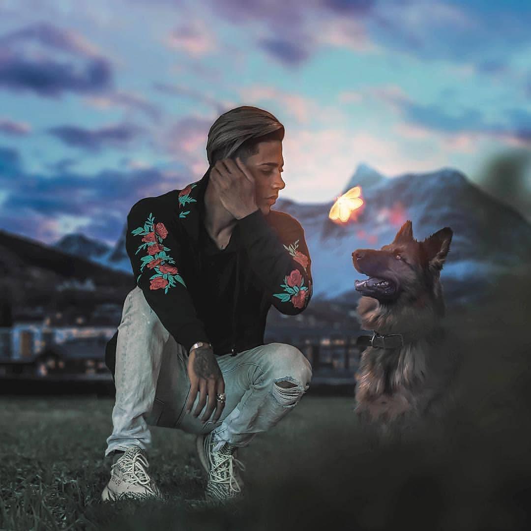 Danish Zehen HD Wolfdog — 1080x1080 wallpaper
