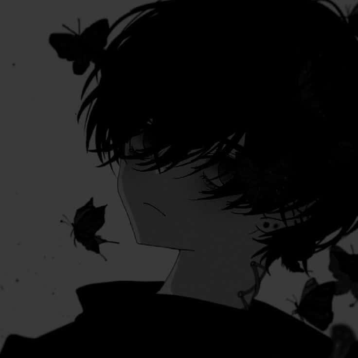 Dark Anime - a unique combination of fantasy and darkness — 736x736 wallpaper
