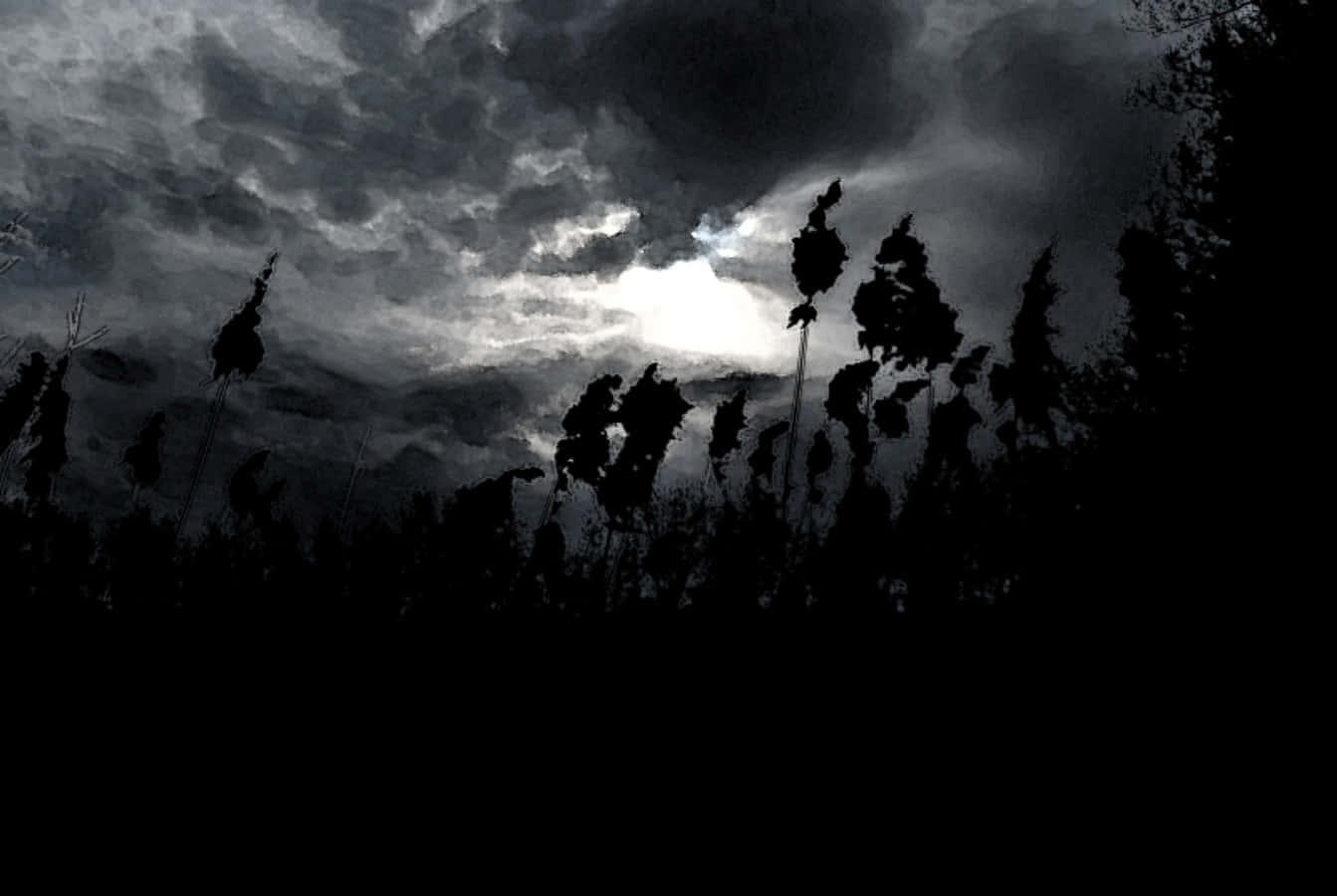 Dark Clouds And Field Picture — 1343x900 wallpaper
