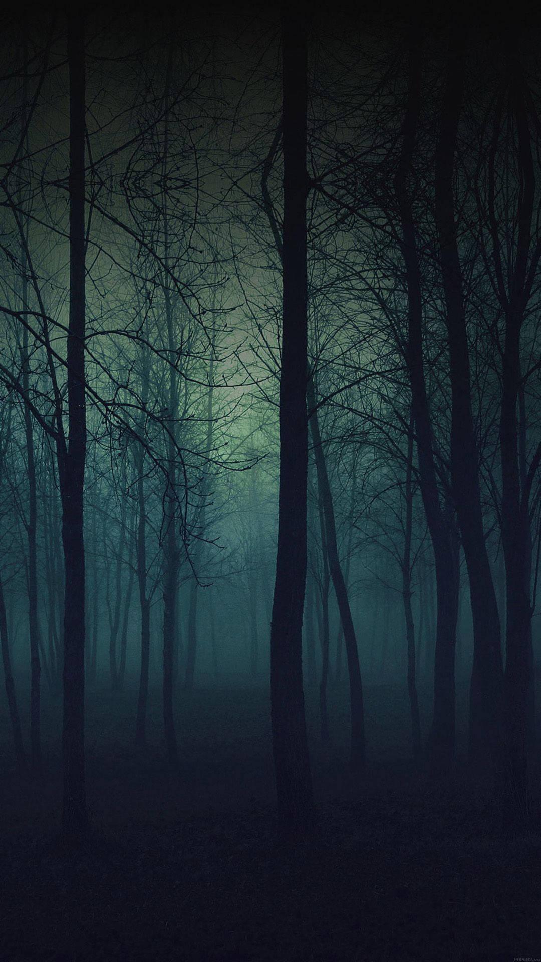 Dark Green Forest Phone — 1080x1920 wallpaper