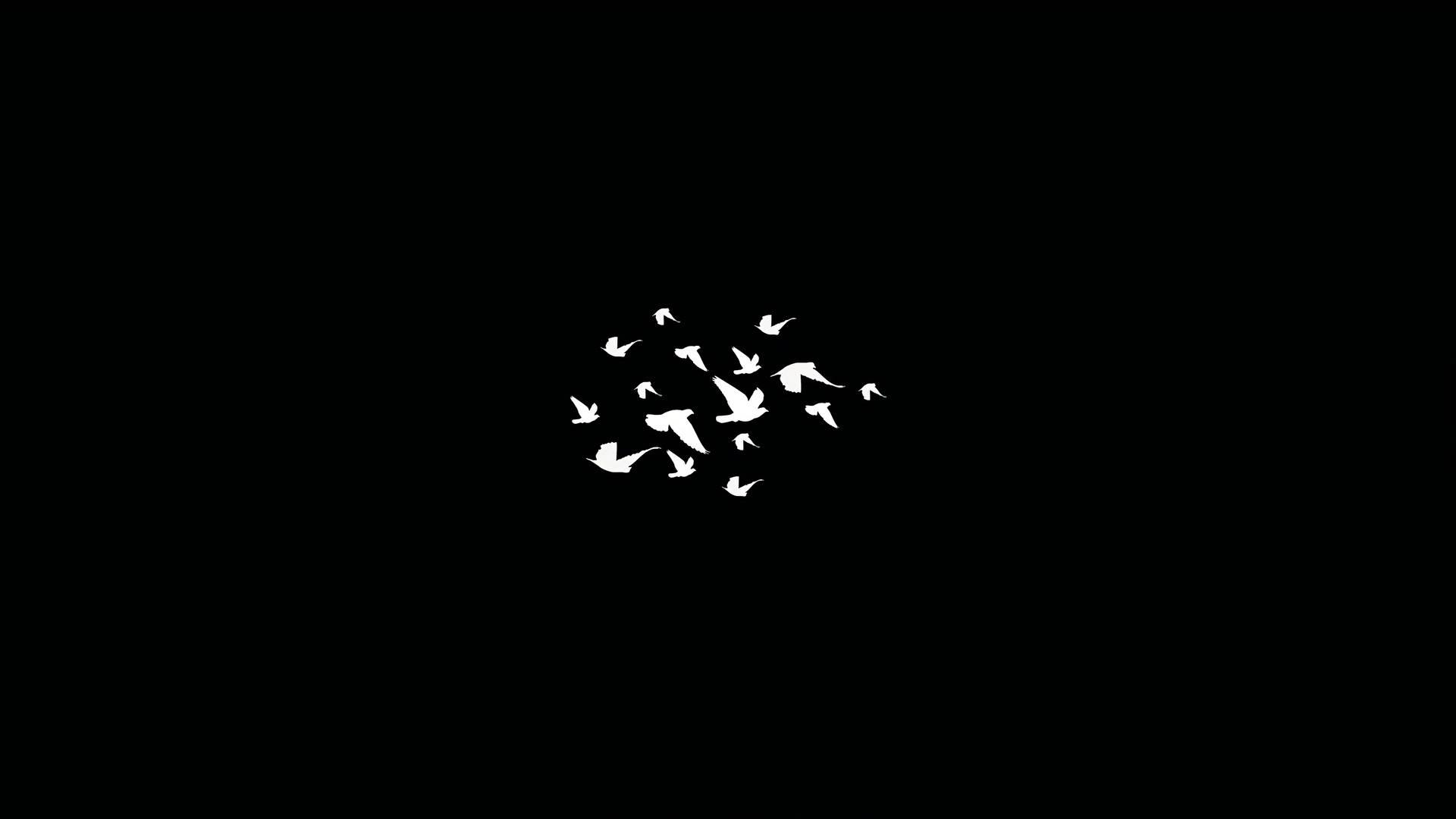 Dark Laptop Birds Compressed In The Center — 1920x1080 wallpaper