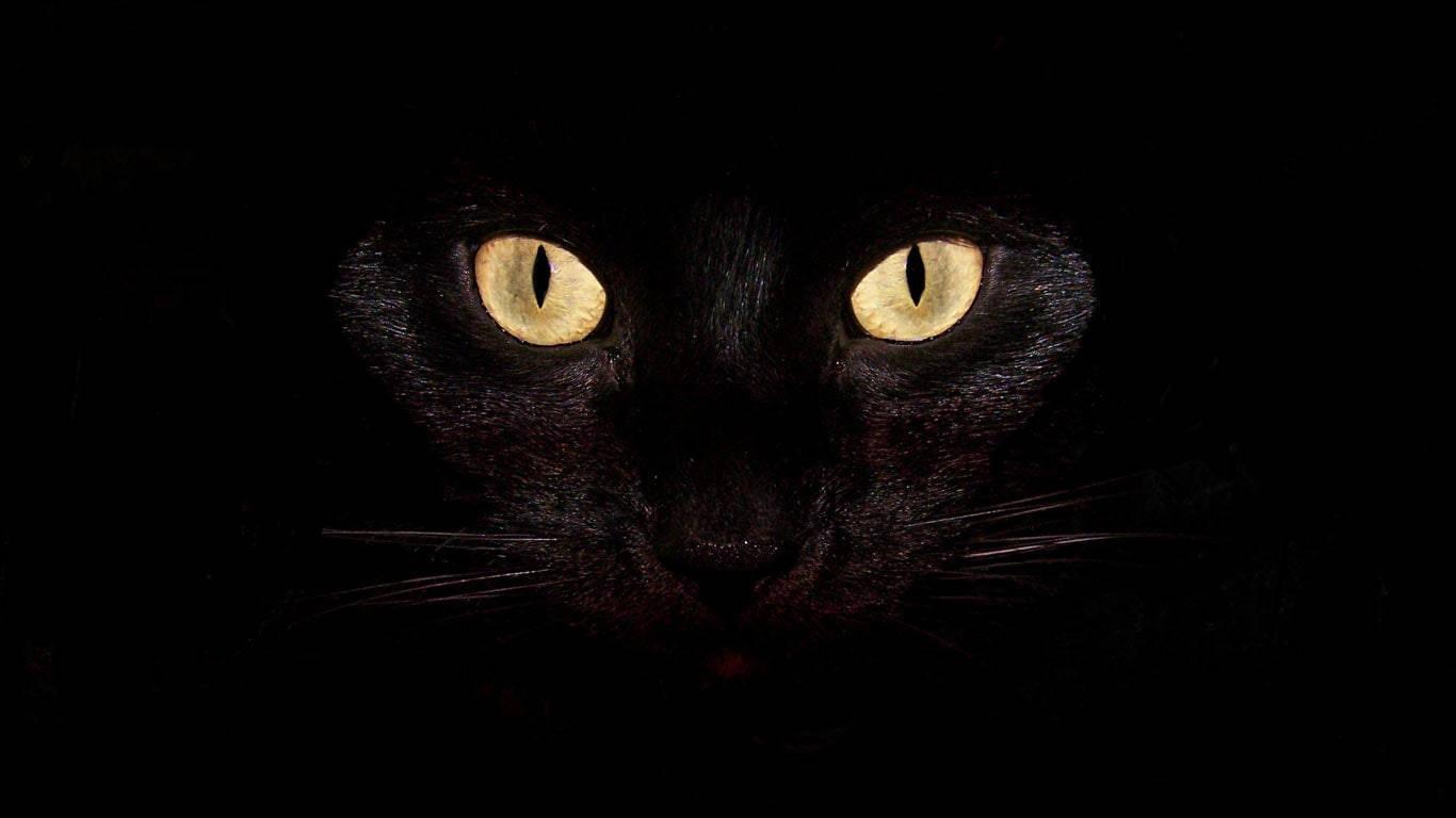 Dark Laptop Black Cat Eyes — 1366x768 wallpaper