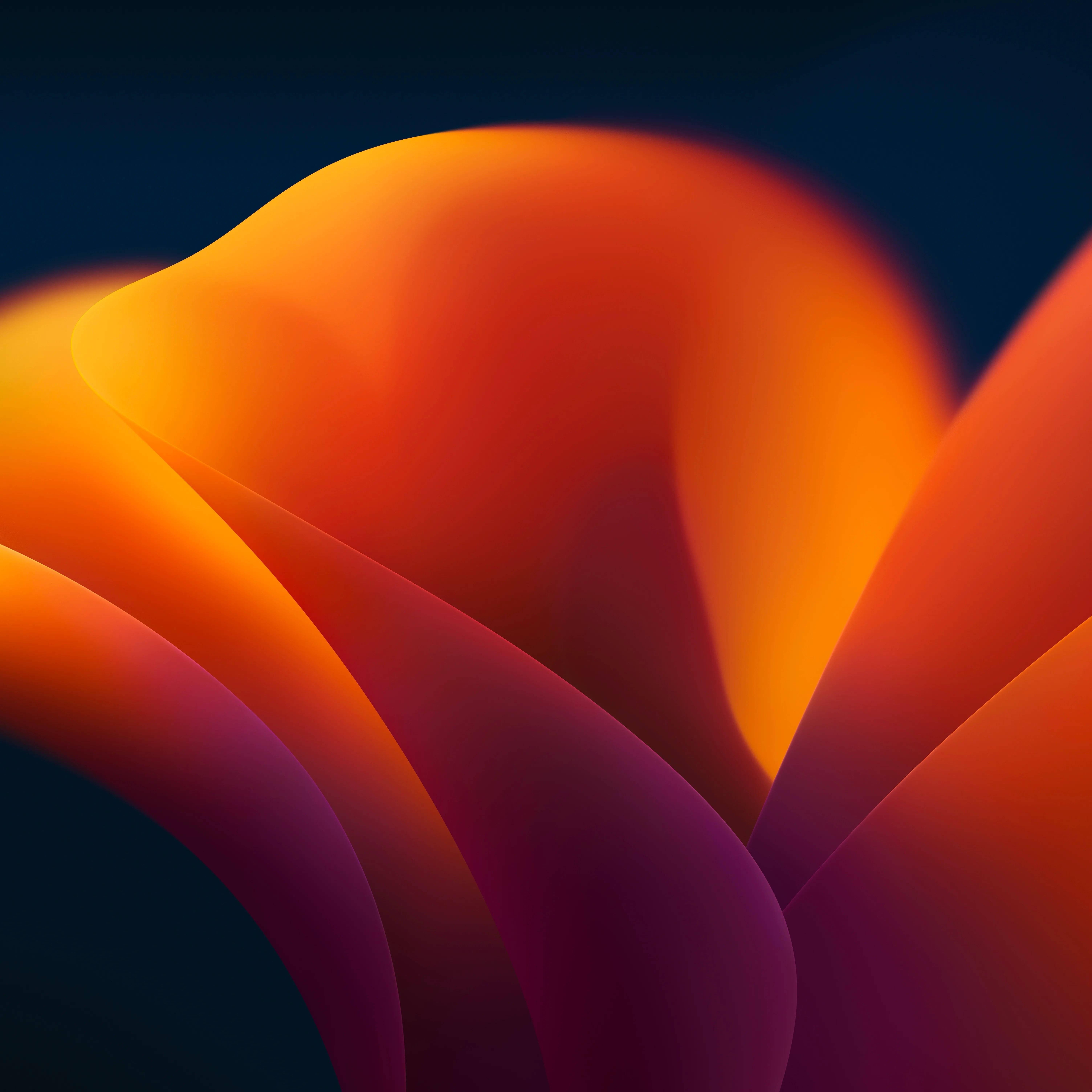 Dark Orange Floral Art Ios 16 — 6016x6016 wallpaper