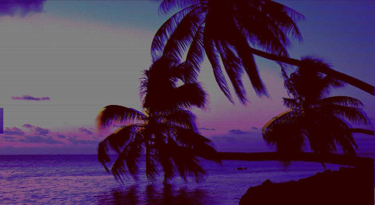 Dark Palm Trees Aesthetic — 1209x661 wallpaper