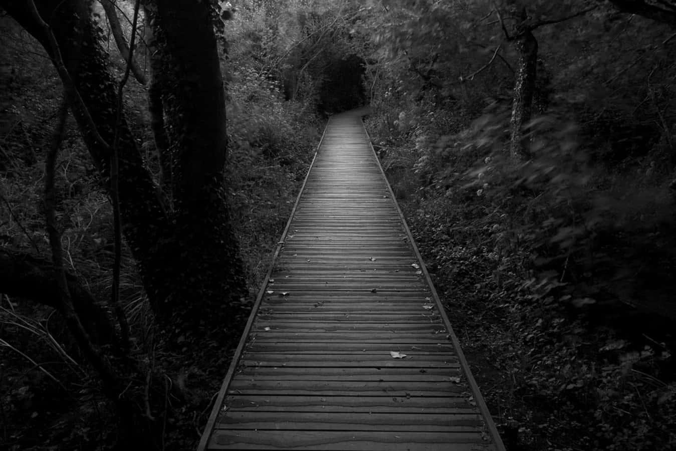 Dark Pathway Picture — 1349x900 wallpaper