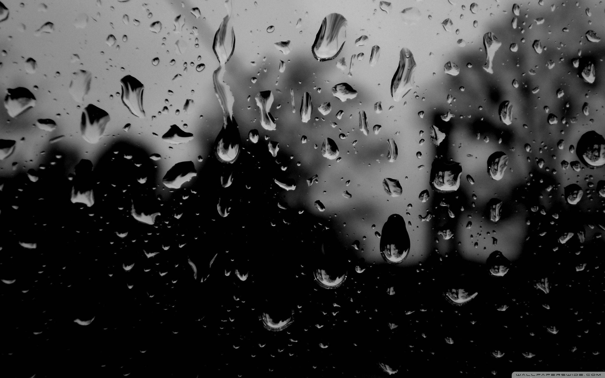 Dark Rain Droplets — 2560x1600 wallpaper