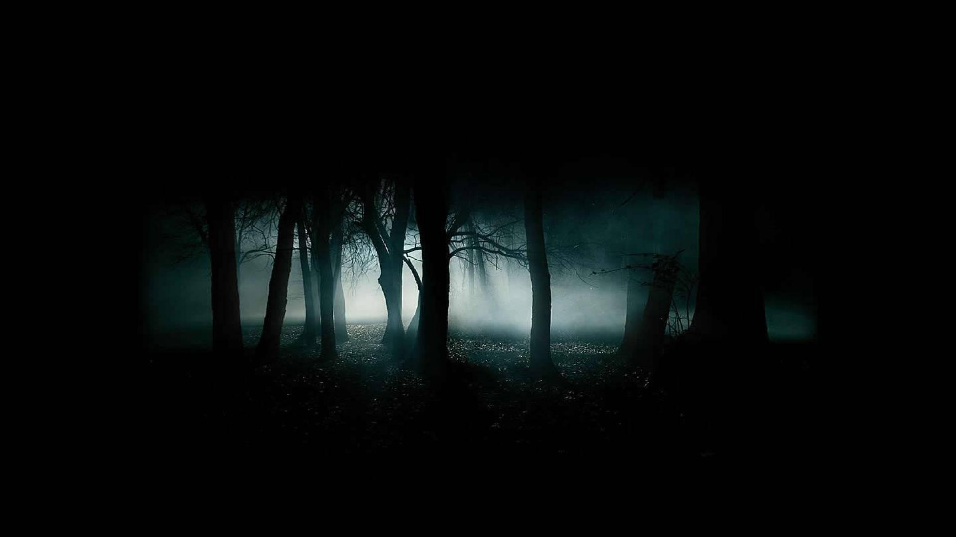 Dark Scary Foggy Forest — 1920x1080 wallpaper