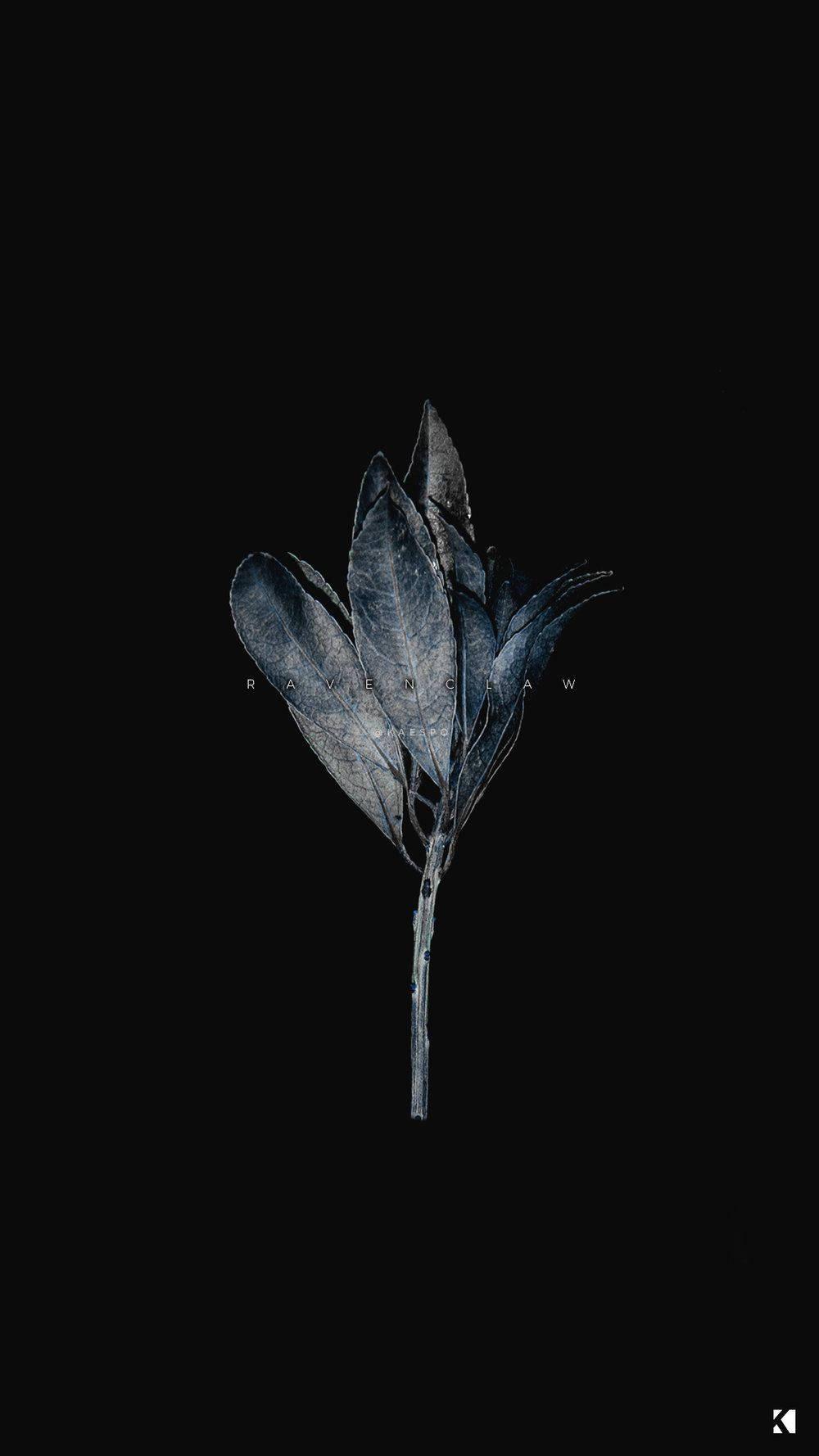 Dead Botanicals Dark Aesthetic — 1000x1778 wallpaper