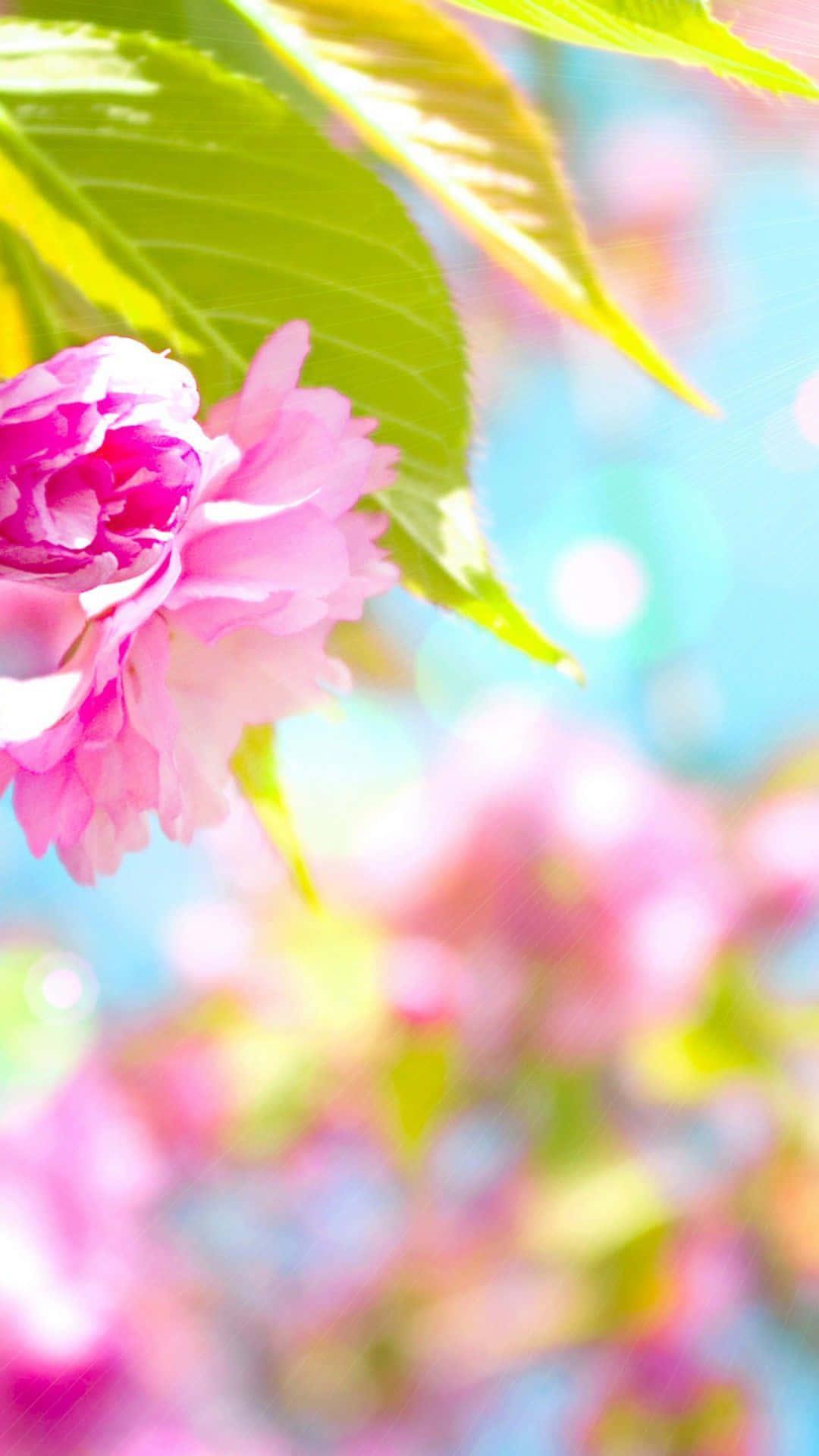 Delightful Floral Phone Wallpaper — 1080x1920 wallpaper